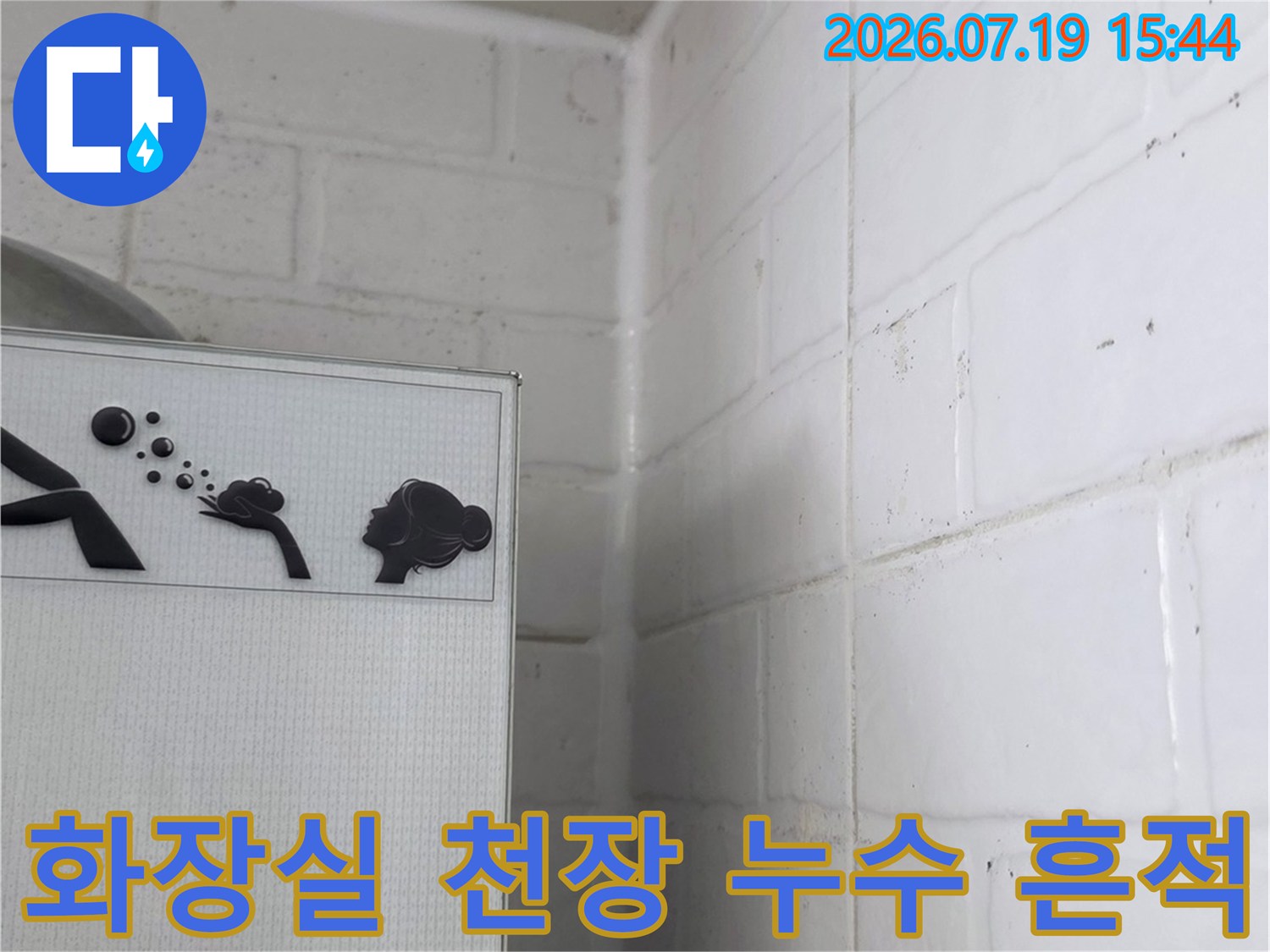 흰색 플라스틱 천장 마감재에 발생한 어두운 색의 누수 얼룩-사진