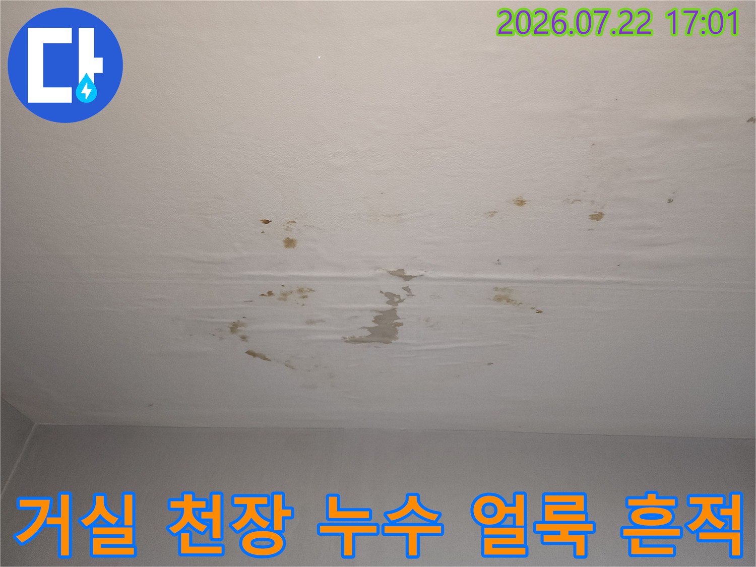 거실 천장에 발생한 광범위한 물자국과 도배지 변색 상태
