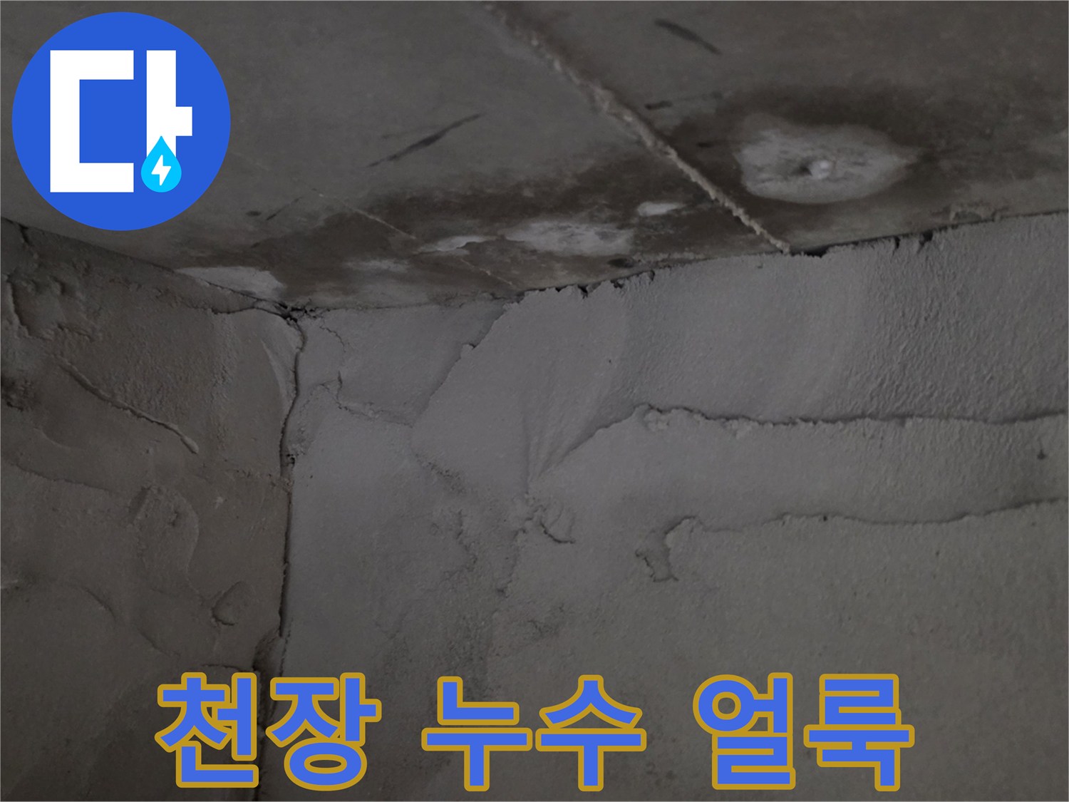천장-콘크리트-면의-물자국과-습기-상태