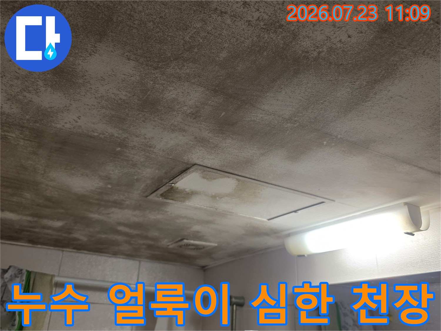 곰팡이와 물자국으로 오염된 화장실 천장과 중앙의 점검구 모습