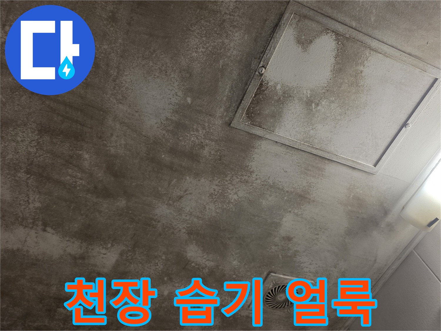 점검구 주변의-젖은 천장 마감재와 누수 흔적