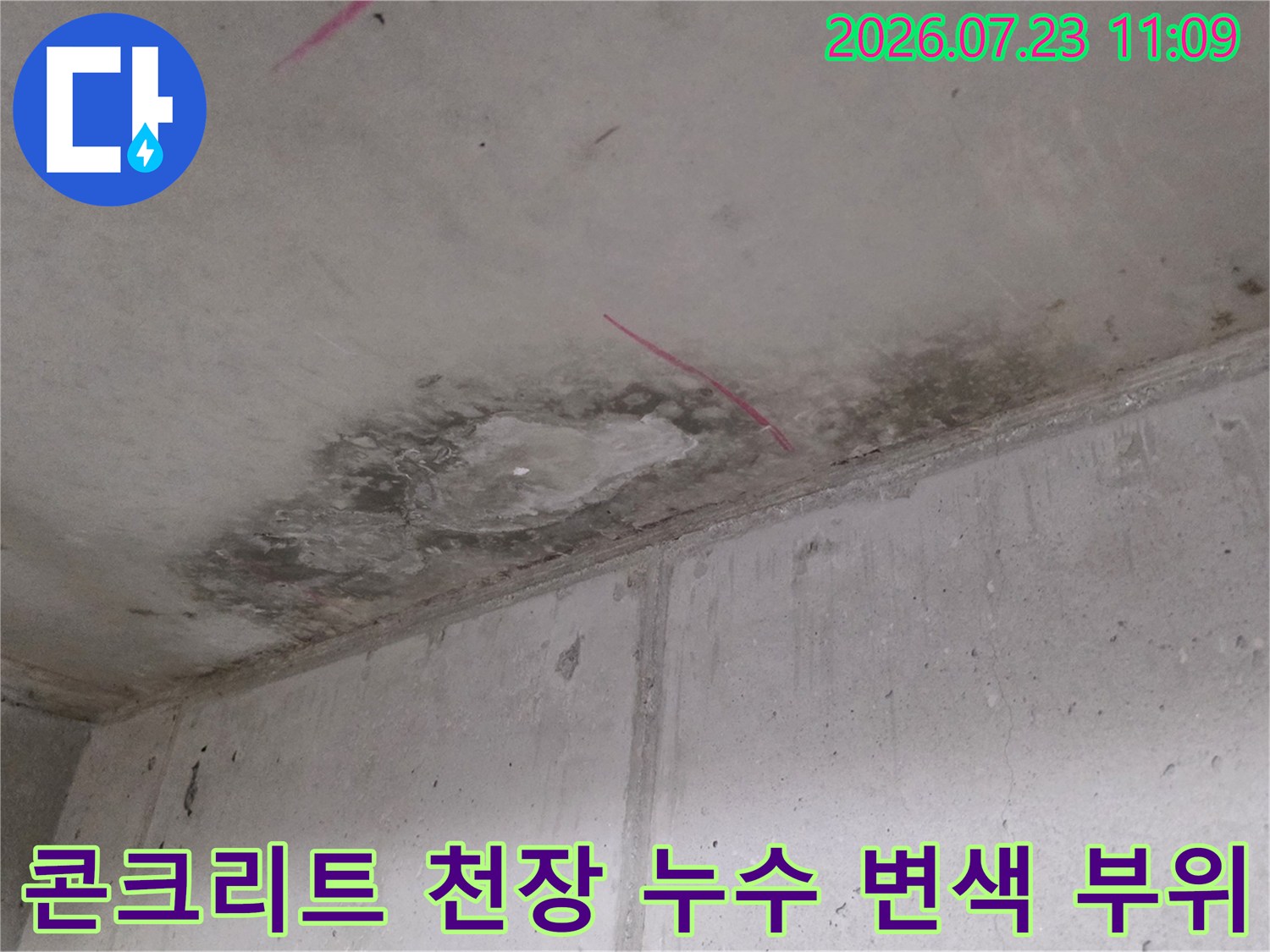 천장의 콘크리트 표면이 물에 젖어 검게 변한 부분과 위치 표시를 위한 분홍색 선-모습