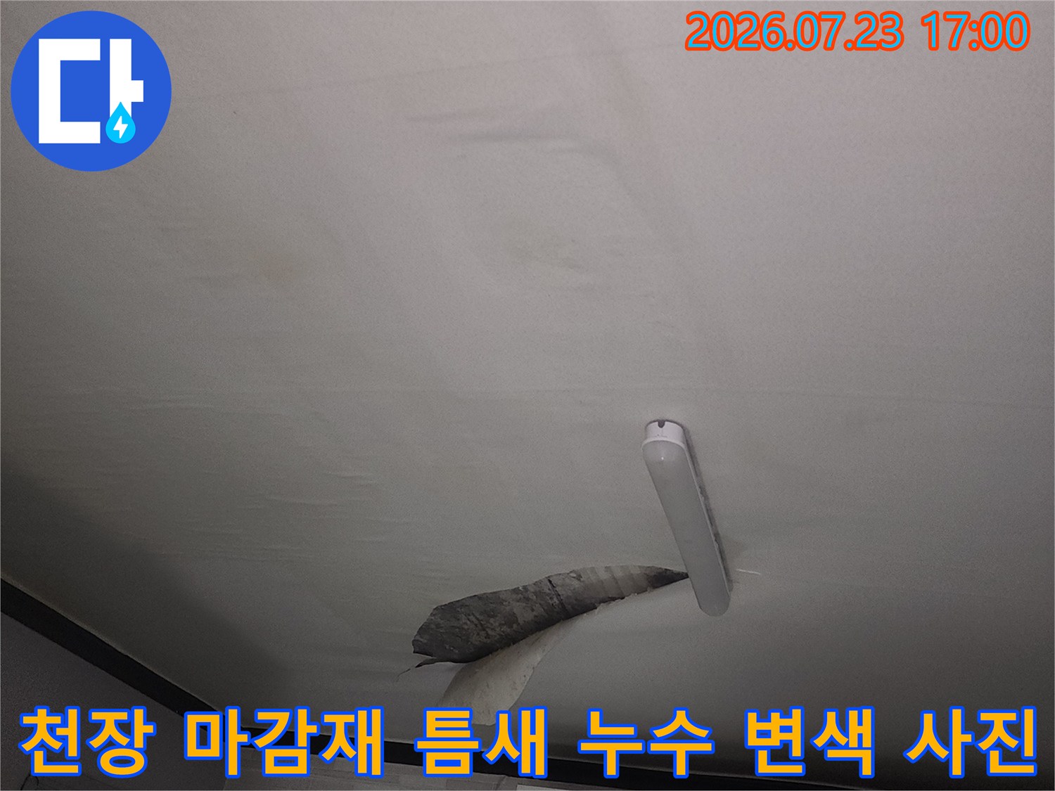 욕실 천장의 흰색 플라스틱 패널 사이로 스며 나온 어두운 색상의 물자국