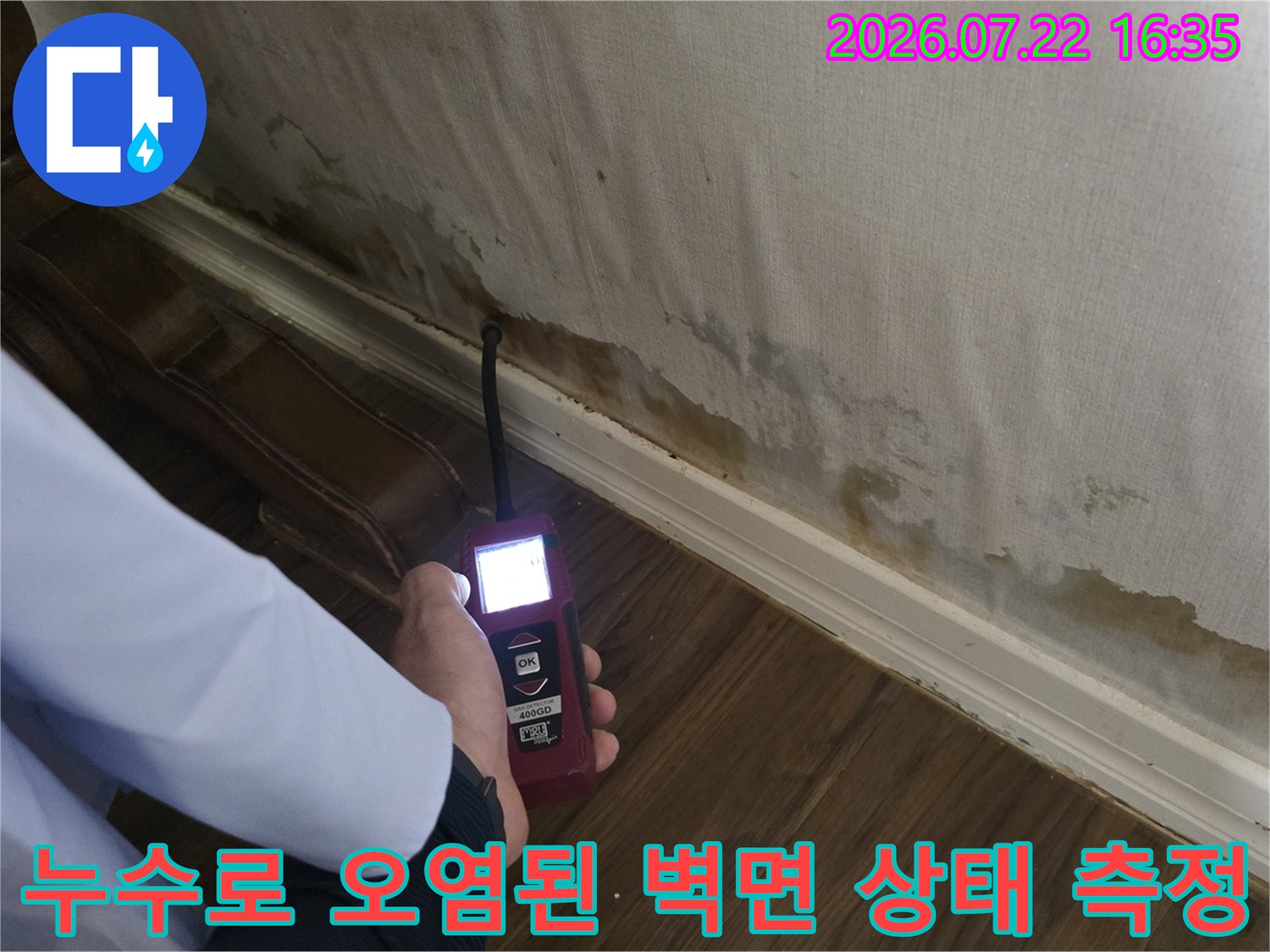 곰팡이가 피고 변색된 흰색 벽지에 측정기를 대고 습도를 확인하는 엔지니어의 손