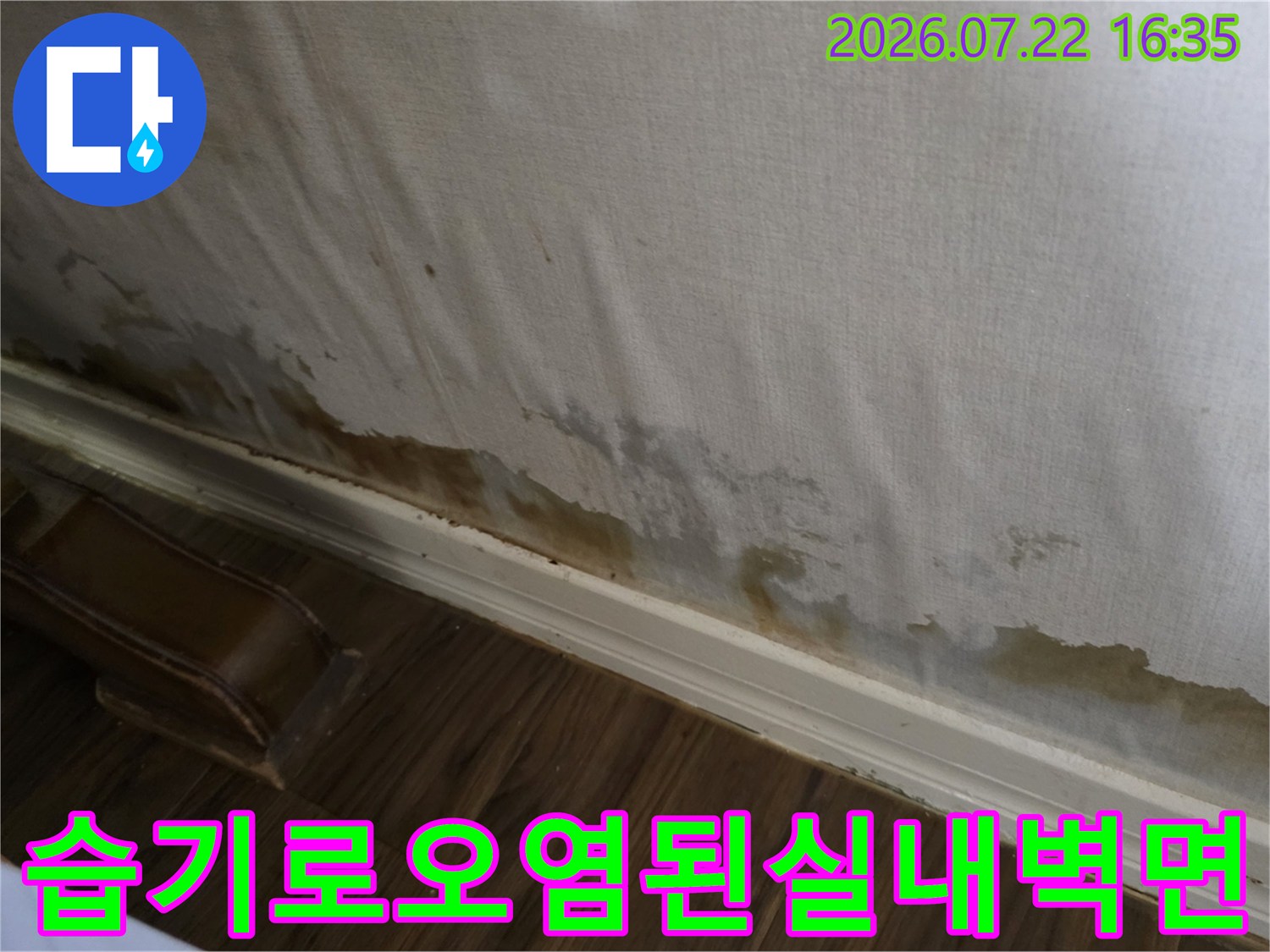 누수로 인해 하단 몰딩 부근부터 위쪽으로 번진 갈색 물 얼룩과 곰팡이 흔적