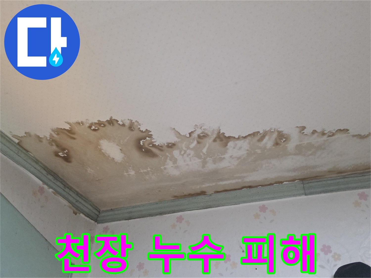 성북구 정릉동 현장-천장 몰딩 주변의 심한 물번짐과 곰팡이 흔적