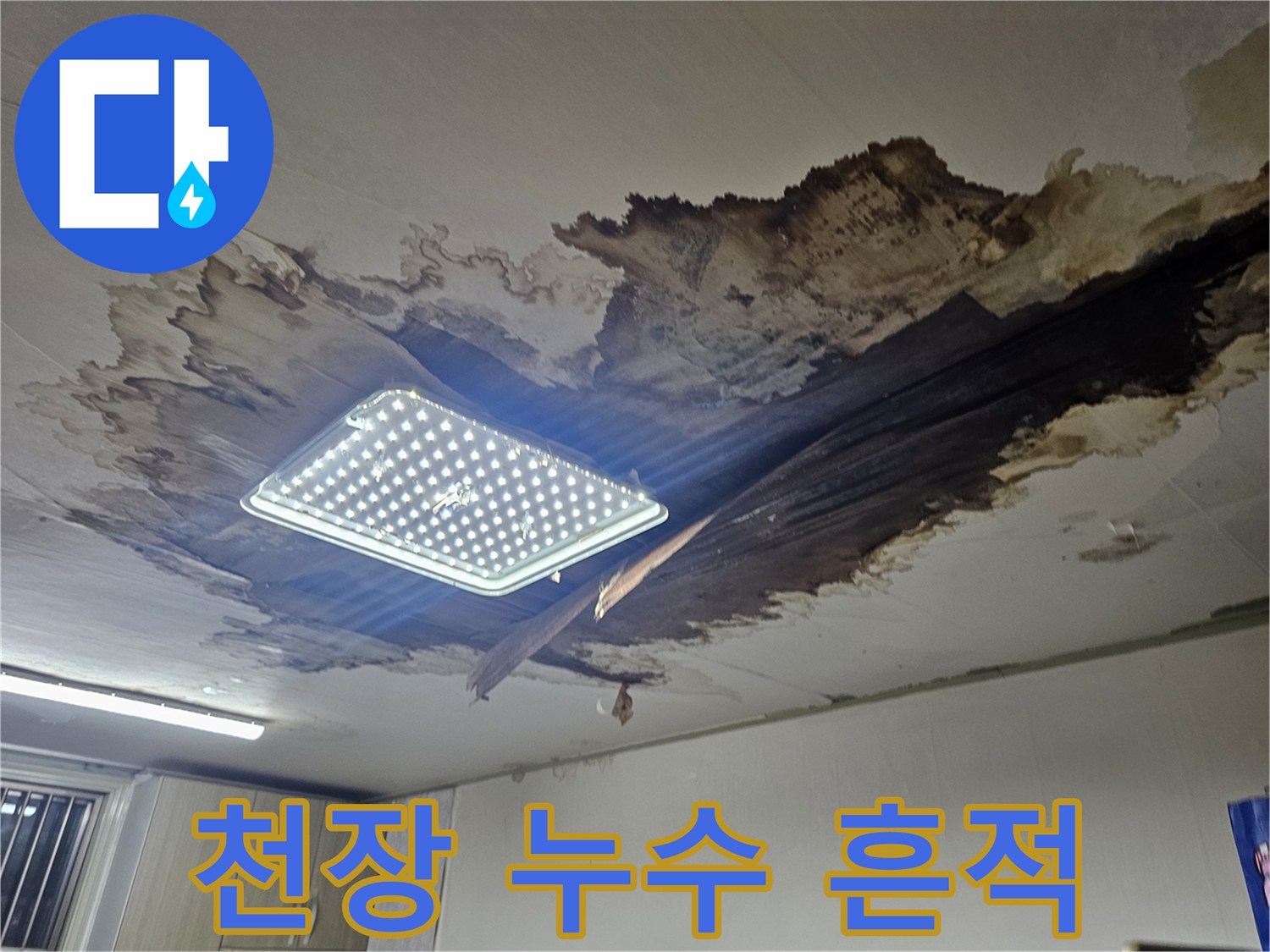 상도동 빌라 내부-물에 젖어 부식된 천장 마감재 사진