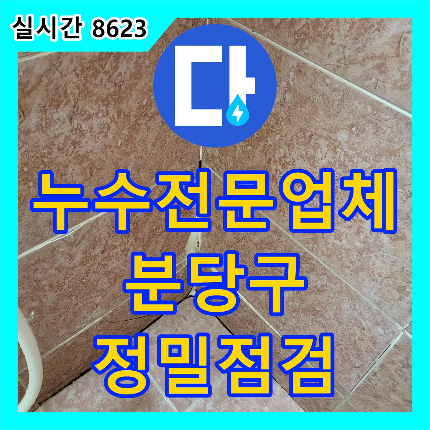 누수전문업체 화장실 옆 마루 변색 증상에 따른 배관 기밀성 정밀 점검 성남시 분당구