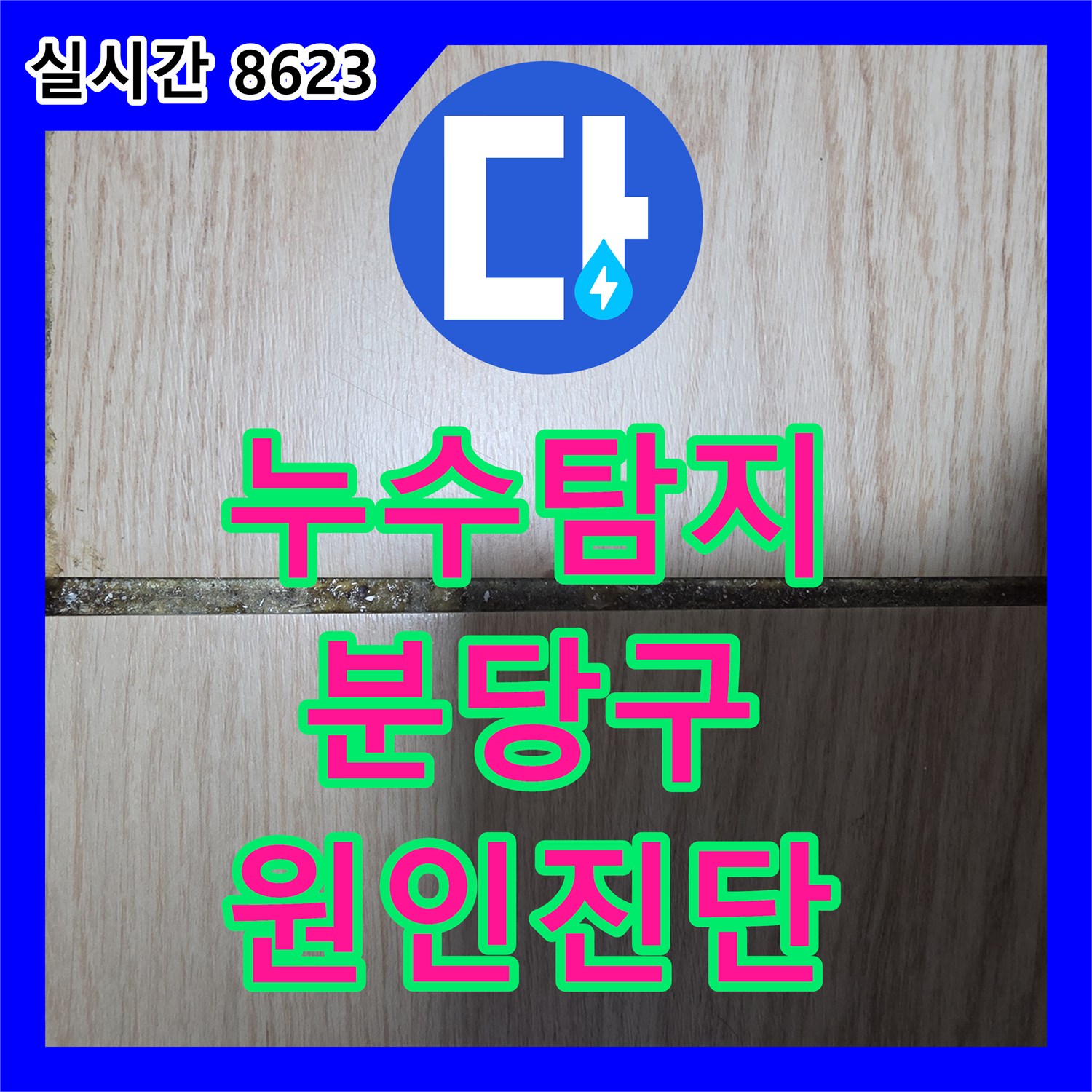 누수탐지 화장실 입구 마루 변색 원인을 찾기 위해 정밀 공압 검사를 진행한 성남시 분당구
