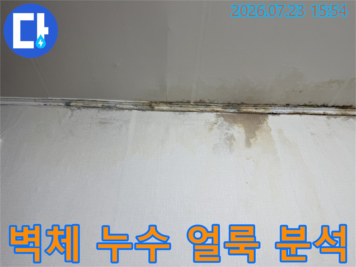천장과 벽면 경계부에 형성된 물자국 및 곰팡이 오염 현황