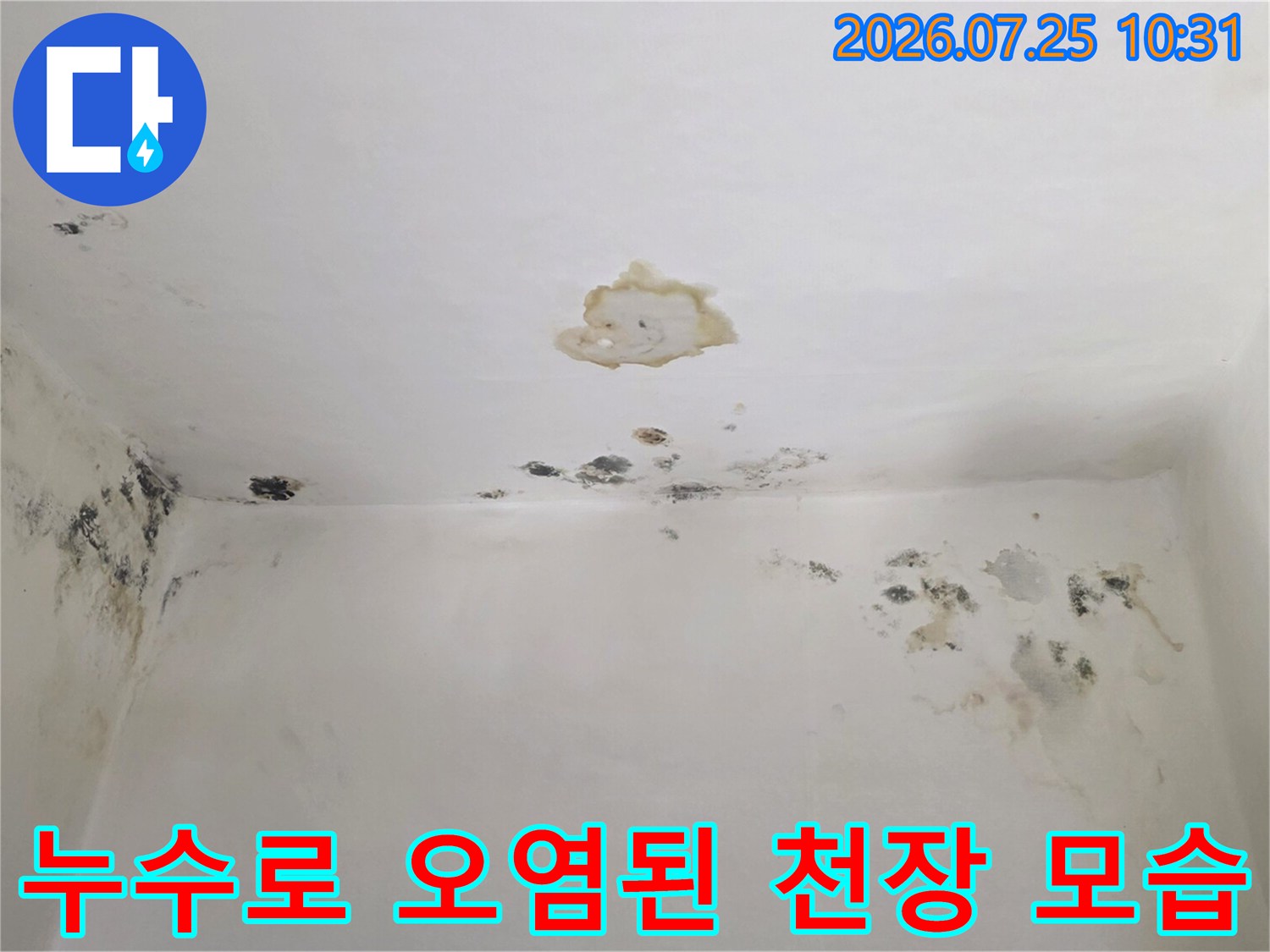 천장 중앙의 갈색 누수 얼룩-벽면 상단의 검은 곰팡이 오염 부위
