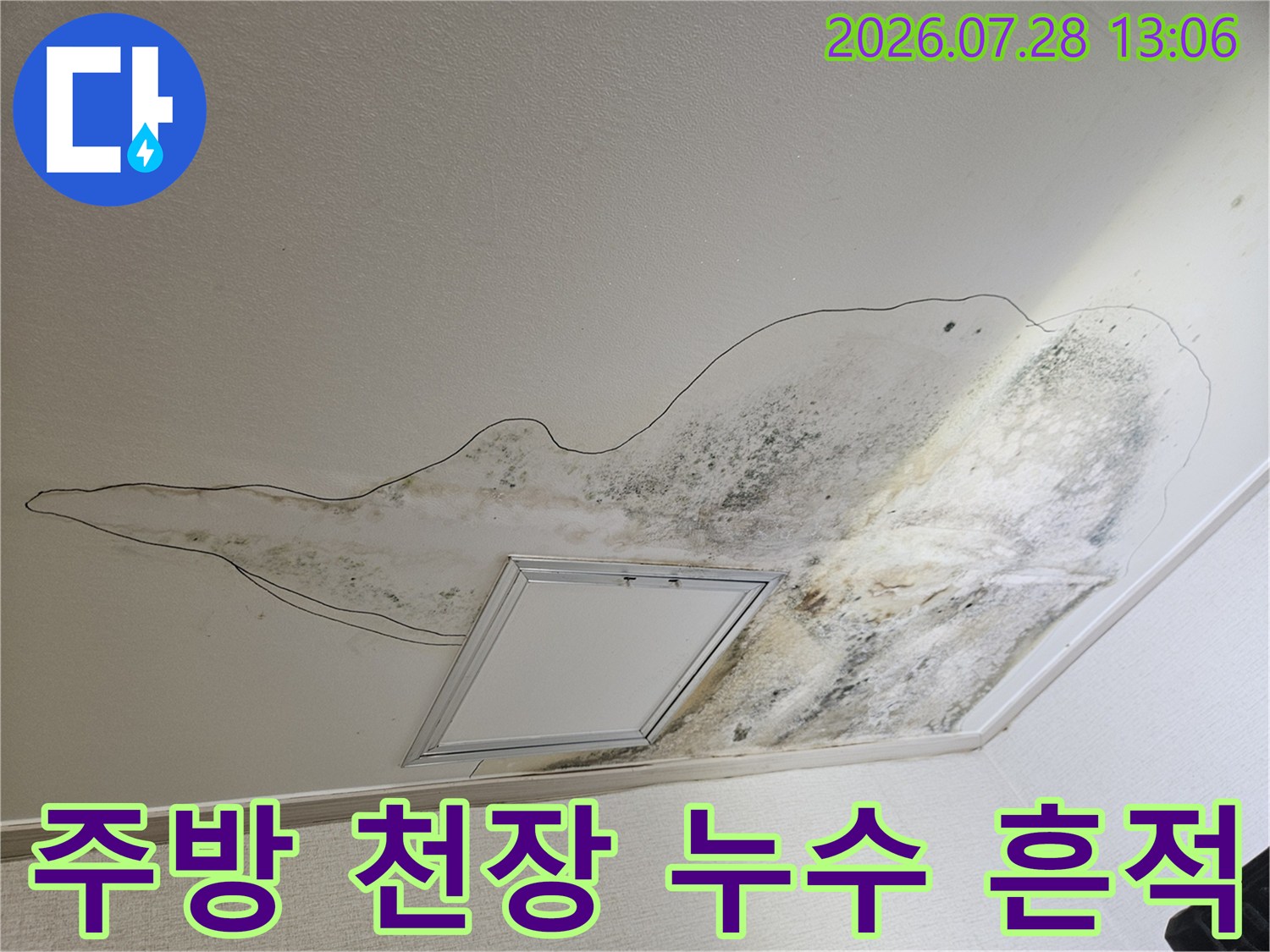 배수 파손으로 발생한 주방 천장의 광범위한 곰팡이 오염