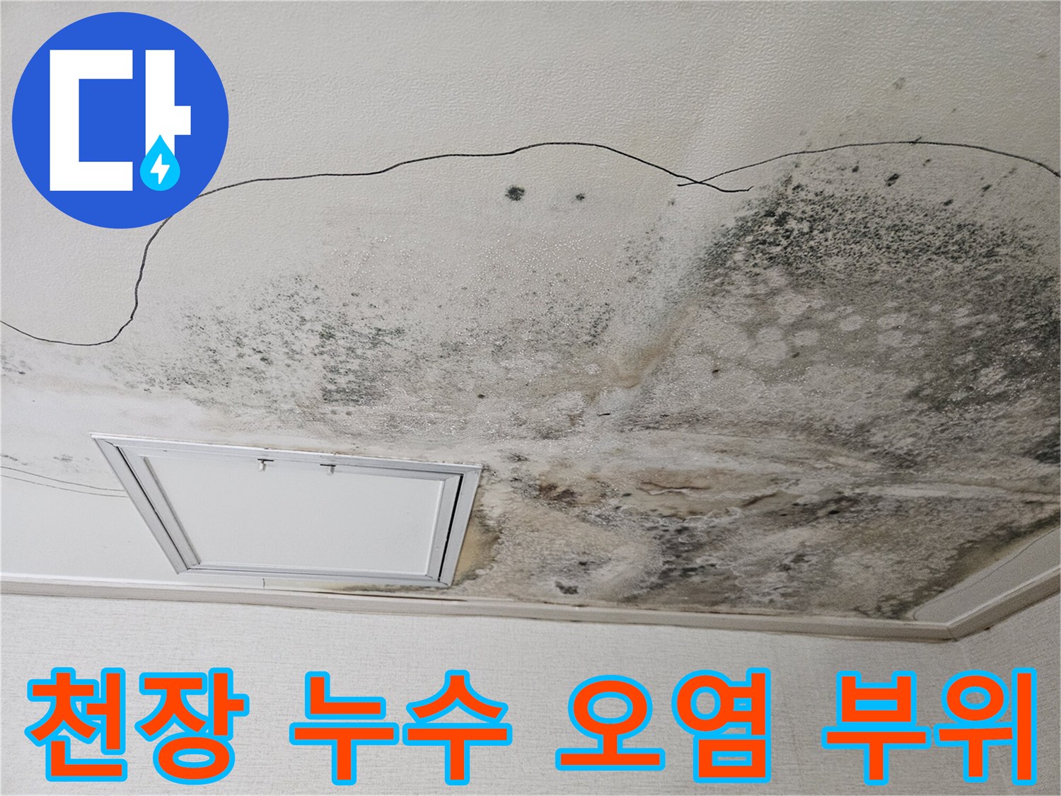 습기로 인해 검게 변한 주방 천장 마감재와 점검구 주변