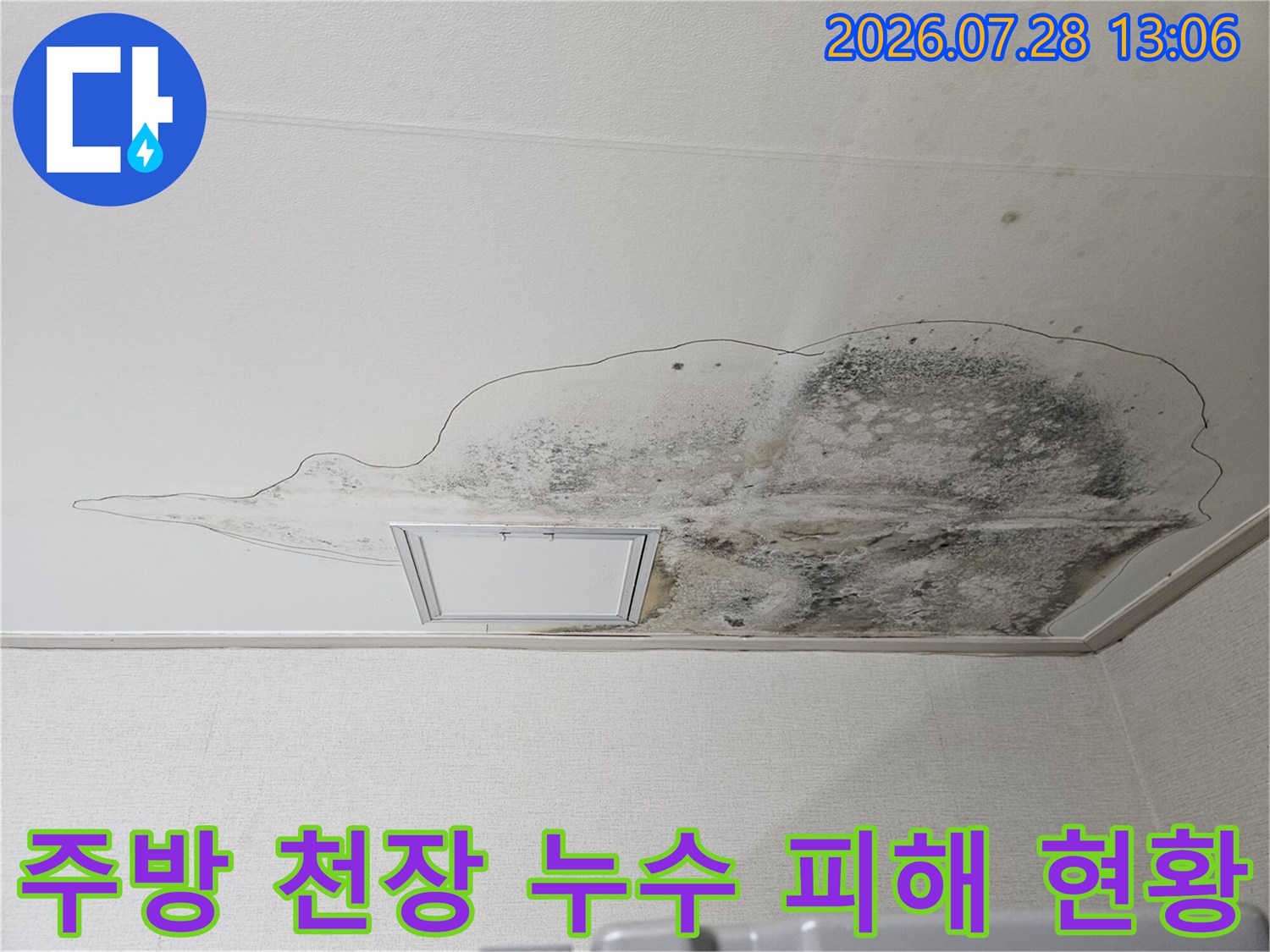 조명 주변에 집중적으로 발생한 배수관 문제의 곰팡이 얼룩