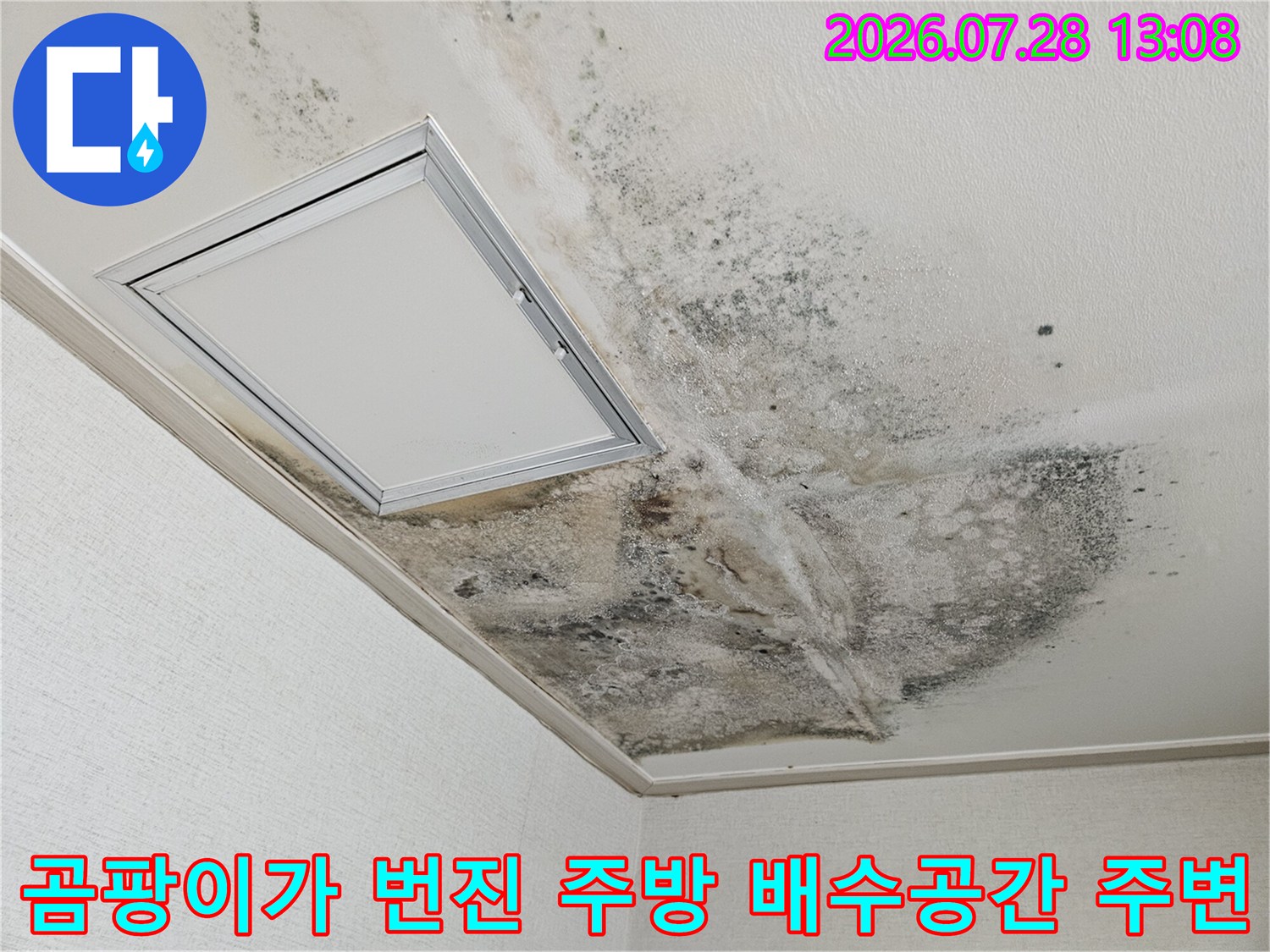 주방 바닥면의 곰팡이 오염과 배수 시설물 연결 부위 촬영
