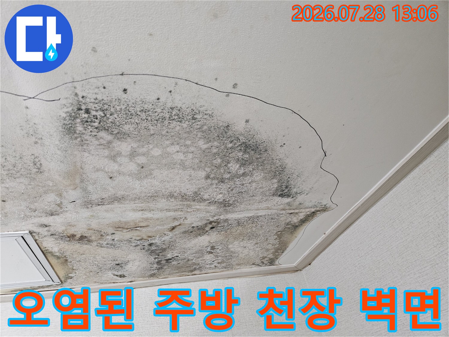 주방 배수관 불량으로 인해 변색되고 곰팡이가 발생한 천장