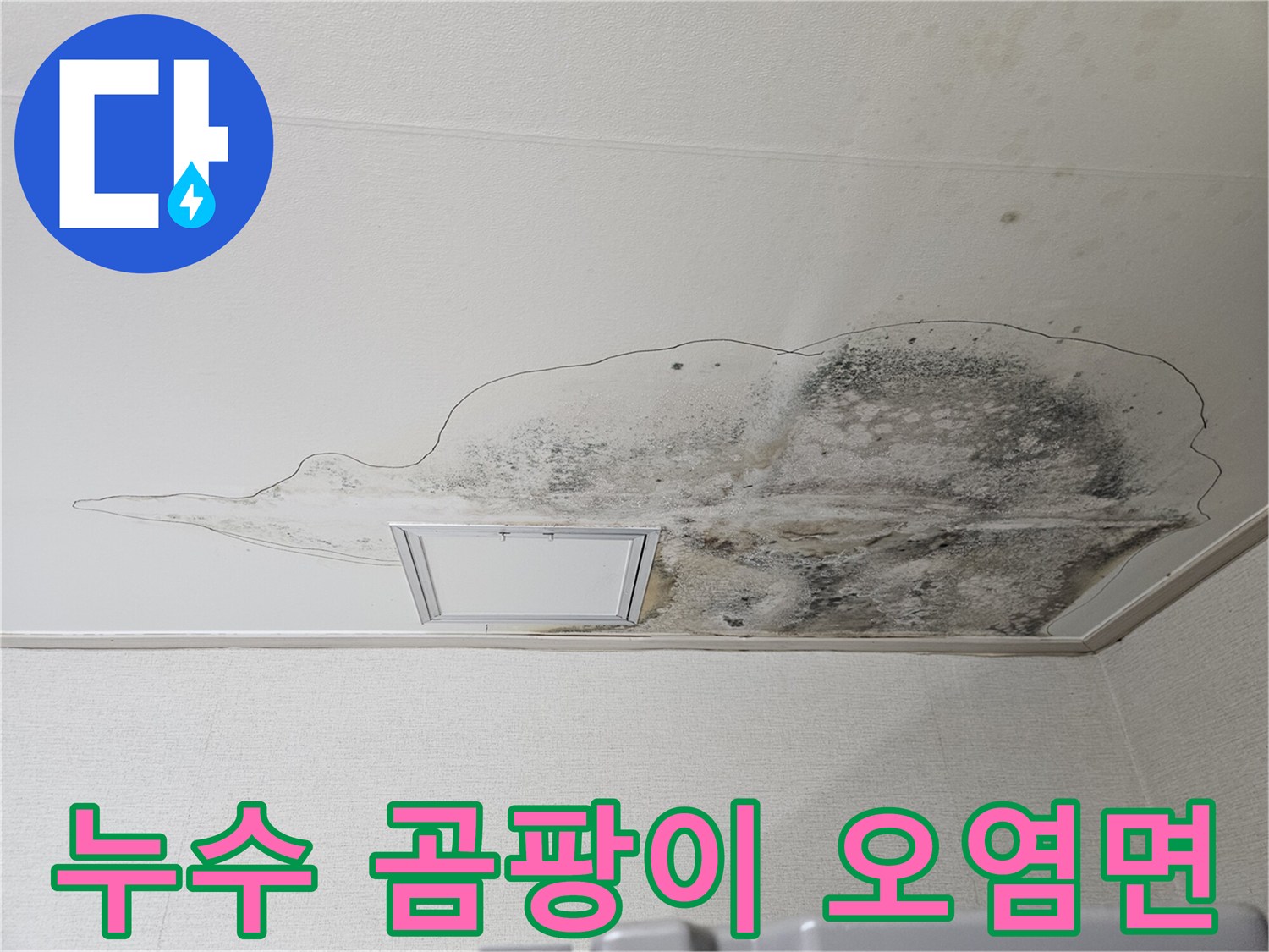 주방 천장 마감재에 발생한 광범위한 곰팡이와 물샘 자국