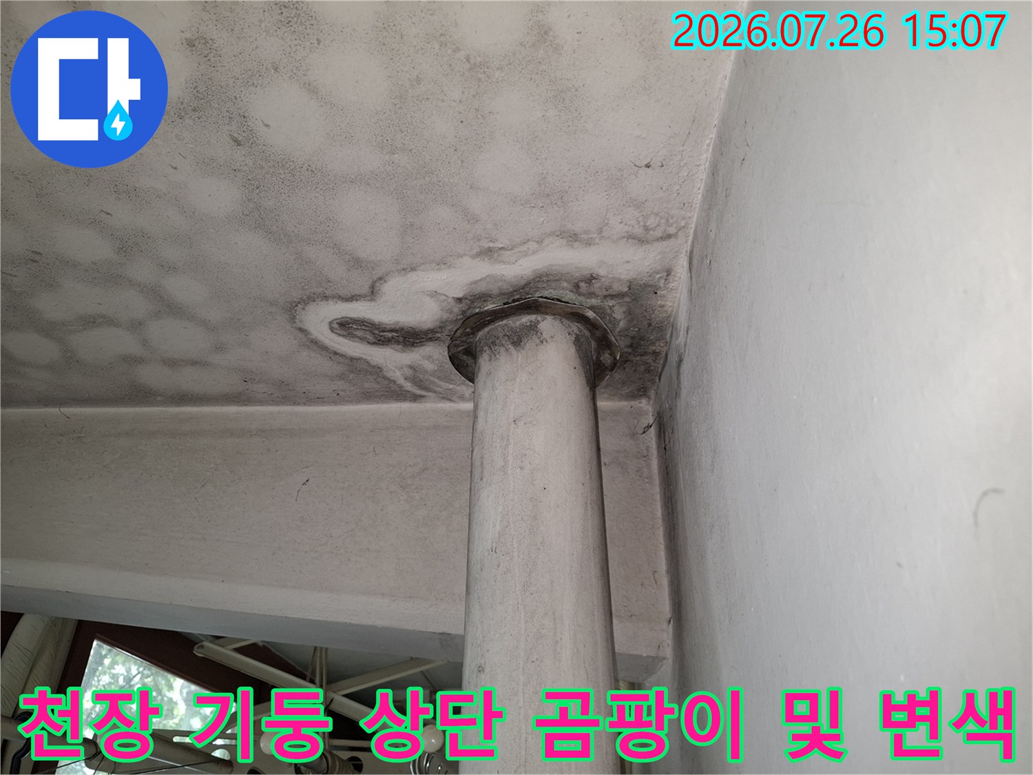 흰색 원형 기둥의 천장 접합 부위에 발생한 심한 물 얼룩과 검은 곰팡이-누수 진단 사진