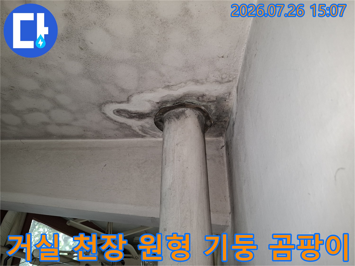 흰색 천장 마감재와 기둥 연결 부위에 발생한 진한 회색의 누수 얼룩과 곰팡이-사진