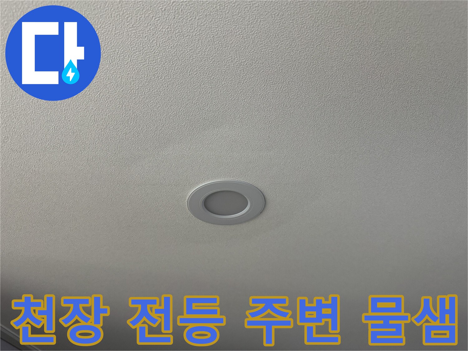 거실 천장 조명 주변의 누수 흔적과 얼룩 상태