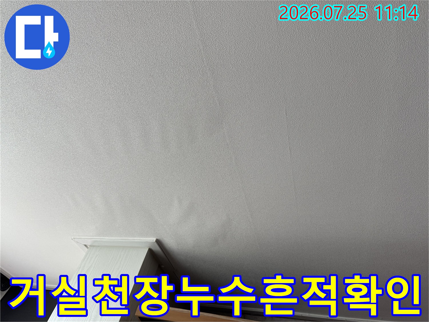 거실 천장의 변색된 부분과 물자국이 퍼진 범위를 세밀하게 점검하는 장면