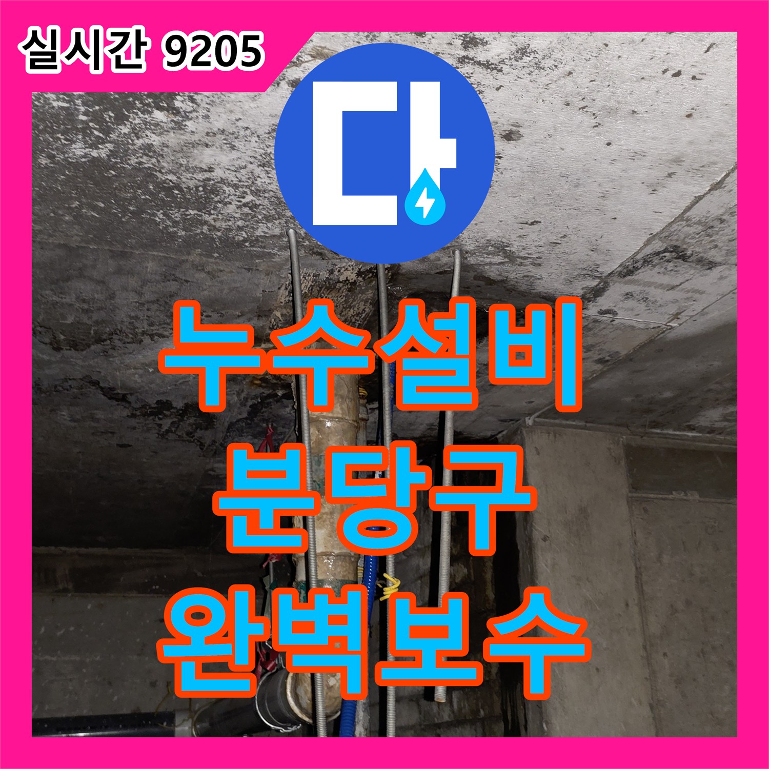 누수설비 상가 주방 배관 연결부 문제와 방수층 파손을 정밀하게 보수한 성남시 분당구 수내동