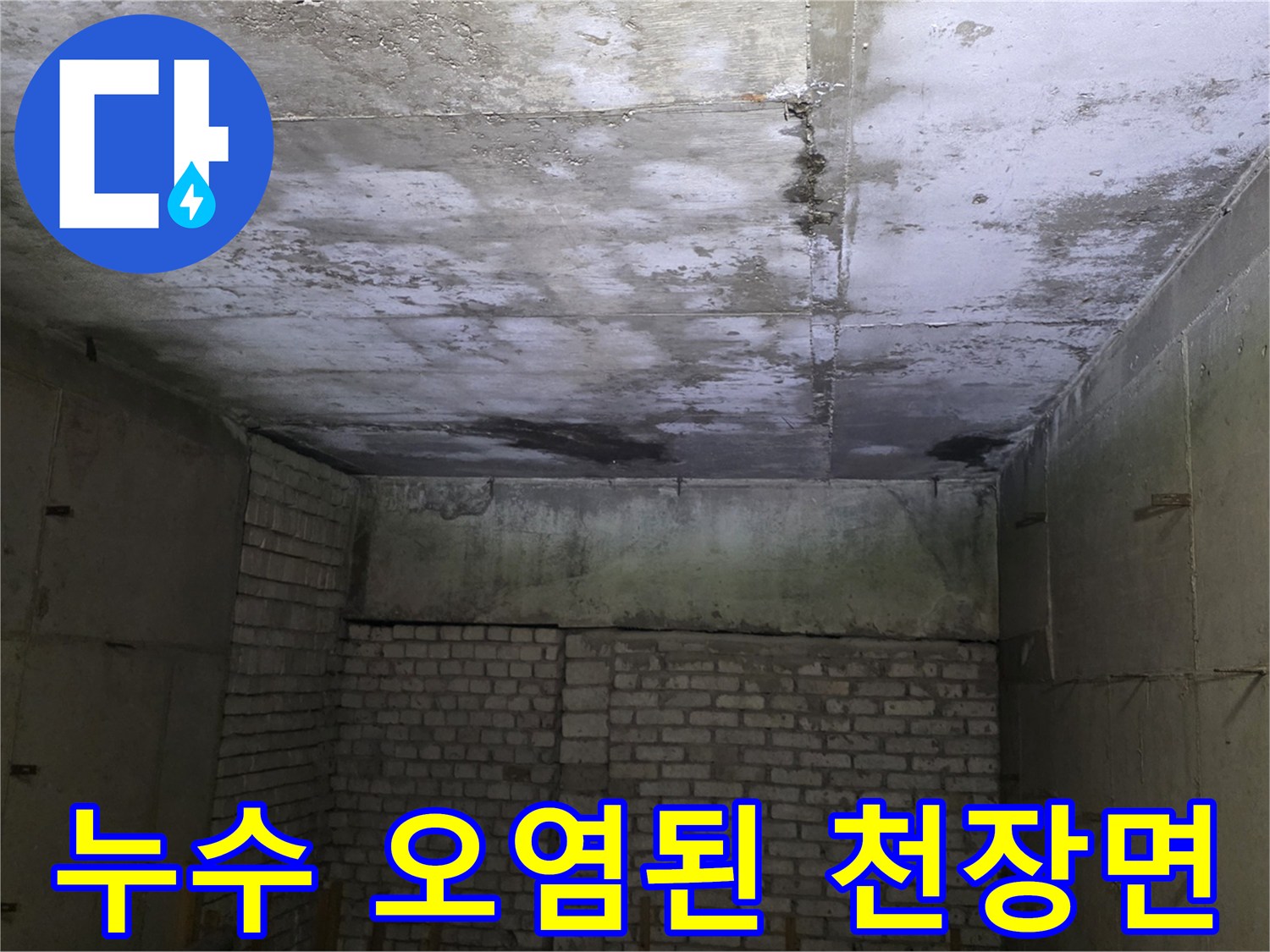 분당 수내동-상가 천장의 물샘 및 습기 흔적 사진
