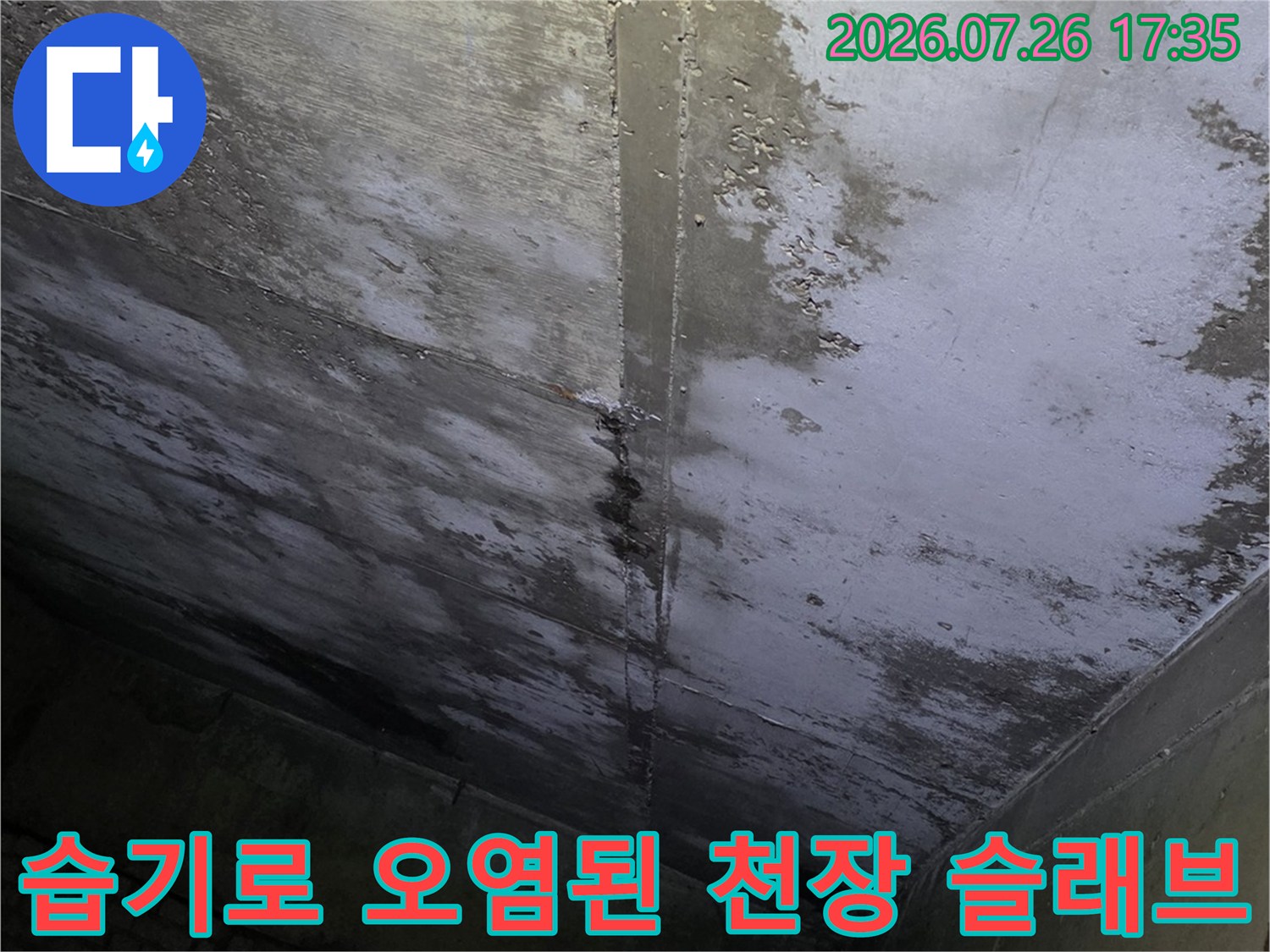 천장 콘크리트 표면에 물 얼룩과 곰팡이가 퍼져 있는 모습-누수 피해 현장