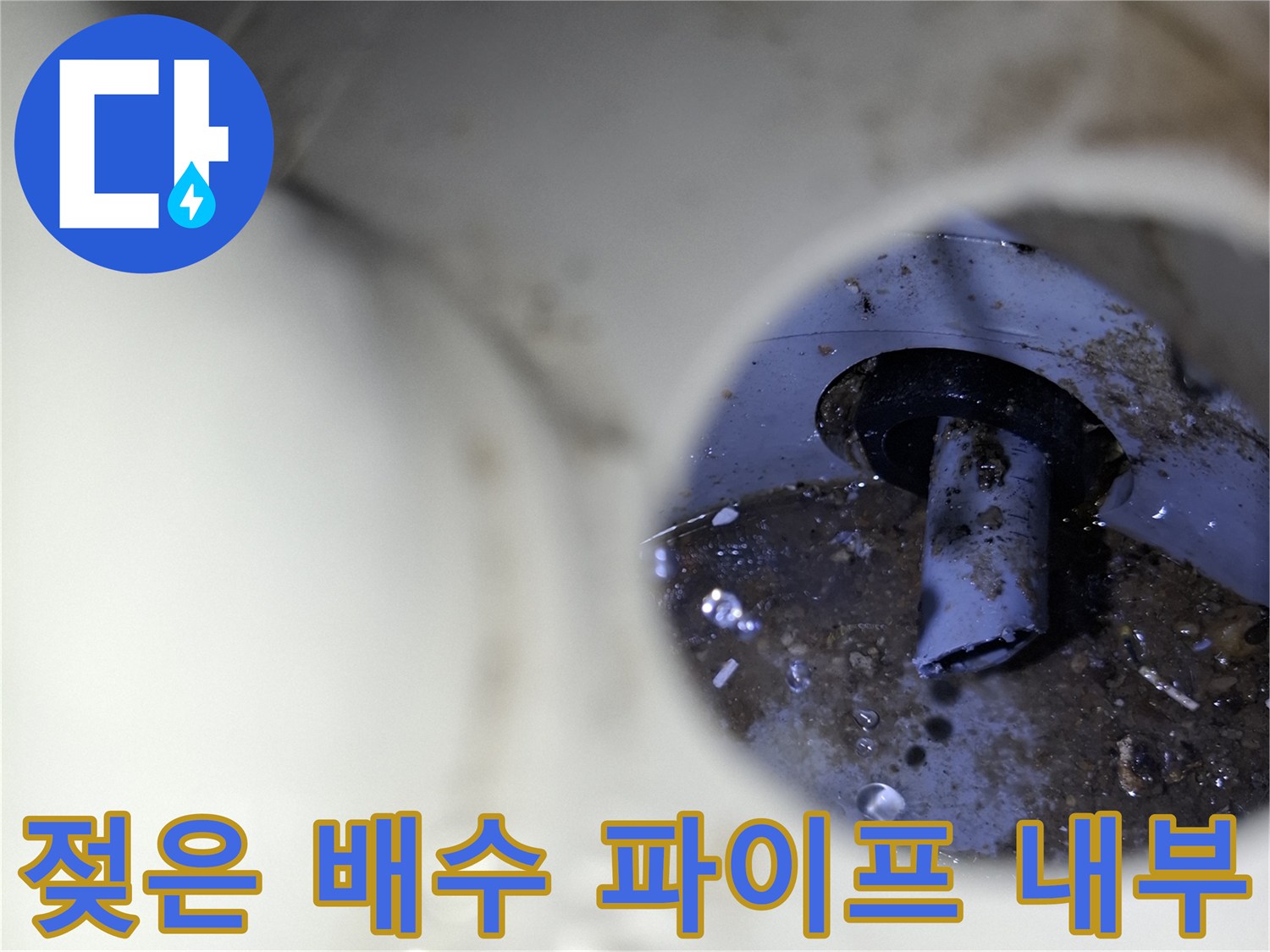 배수구 관찰 - 젖어 있는 배관 연결부를 보여주는 사진입니다.
