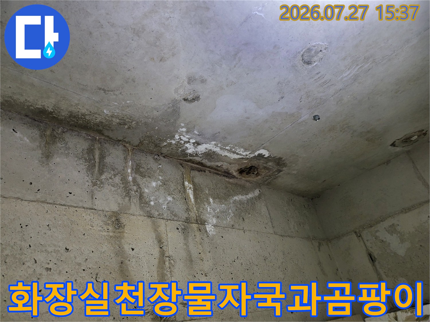 콘크리트 천장에 발생한 갈색 물자국-그리고 곰팡이가 핀 누수 피해 현장 사진
