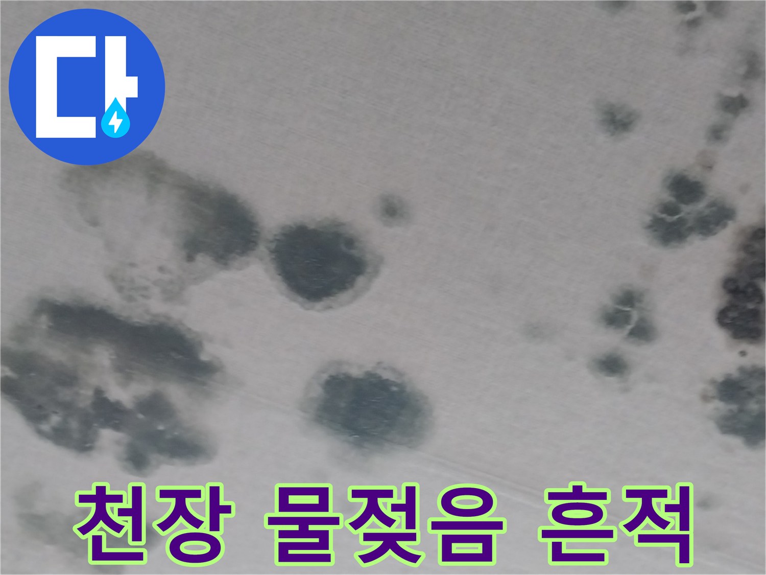 거실 천장 벽지에 나타난 습기로 인한 어두운 얼룩 무늬
