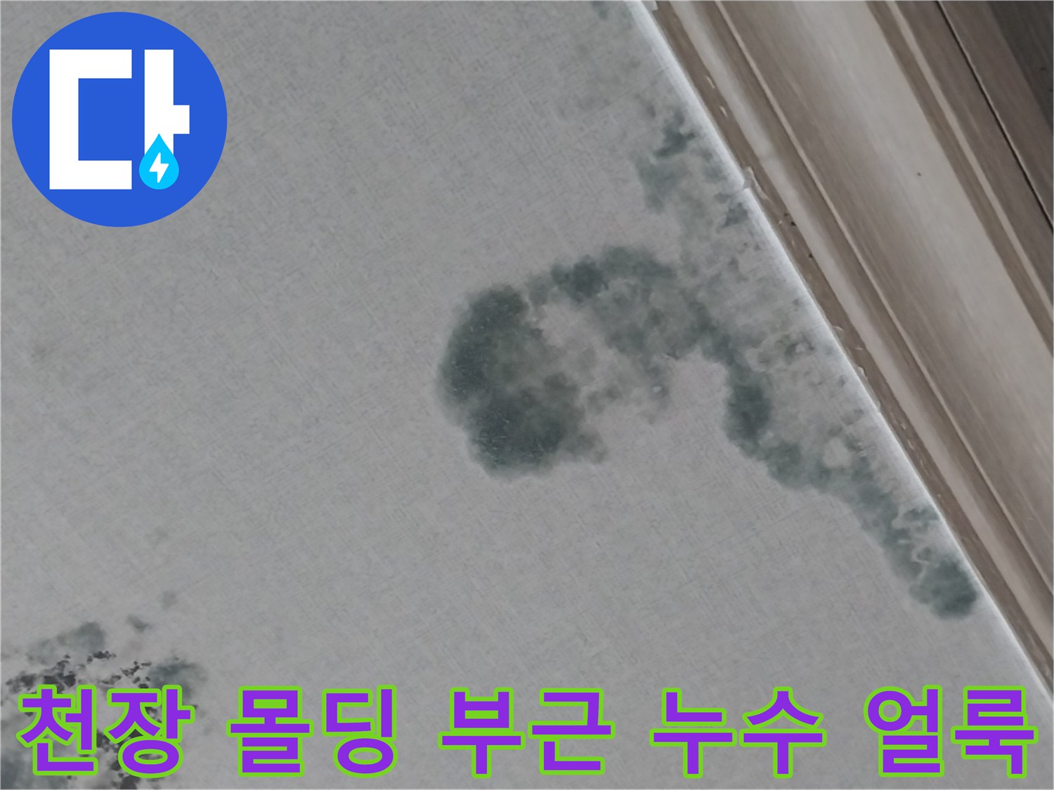 동탄 거실 천장 벽지 곰팡이와 습기로 인한 변색 부위