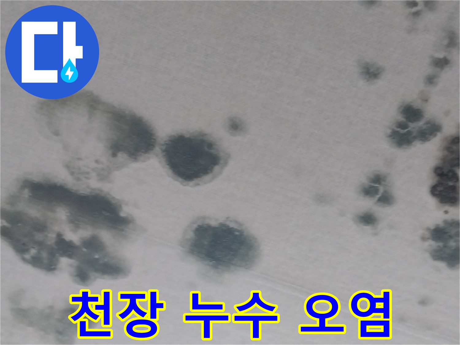 동탄 상가주택 거실 천장 벽지 누수 오염 부위