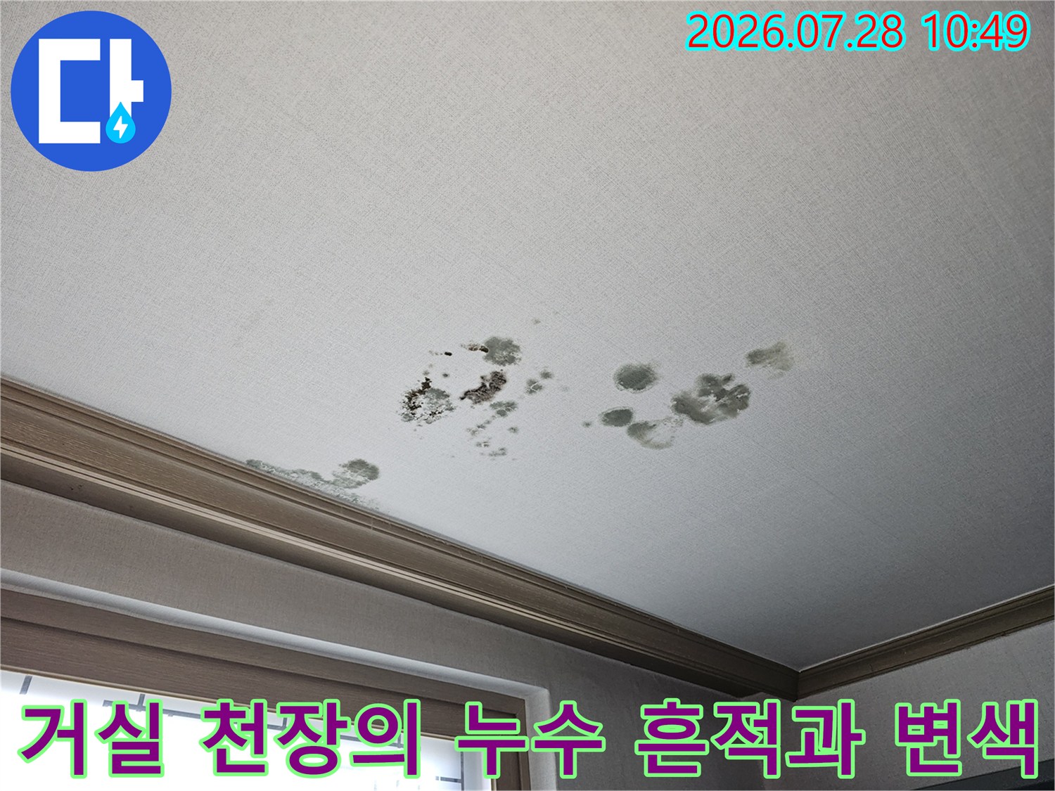 세입자 거실 천장에서 발견된 곰팡이 및 물샘 흔적