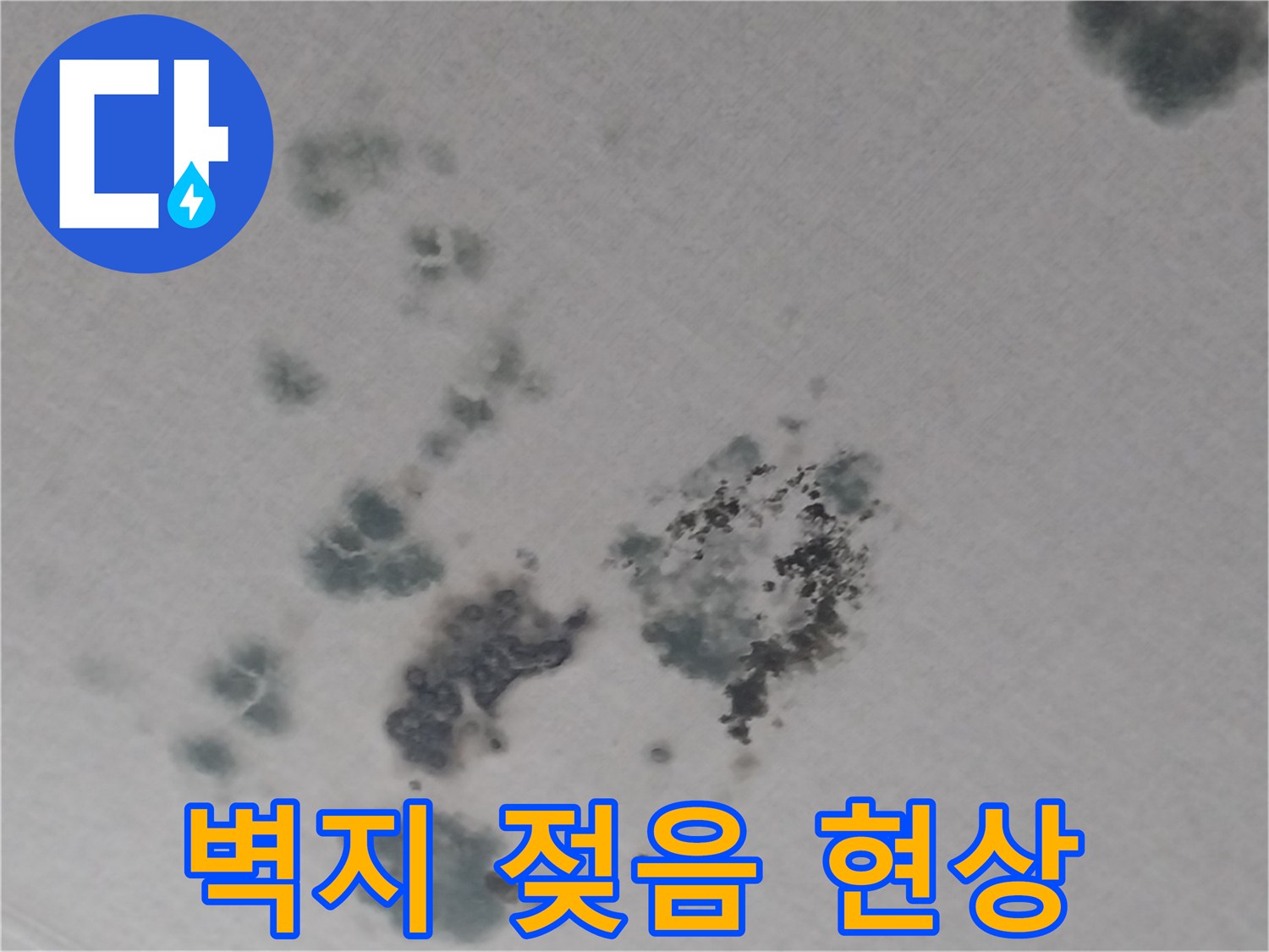 천장 벽지가 젖어 검게 변한 누수 피해 부위 상세 사진