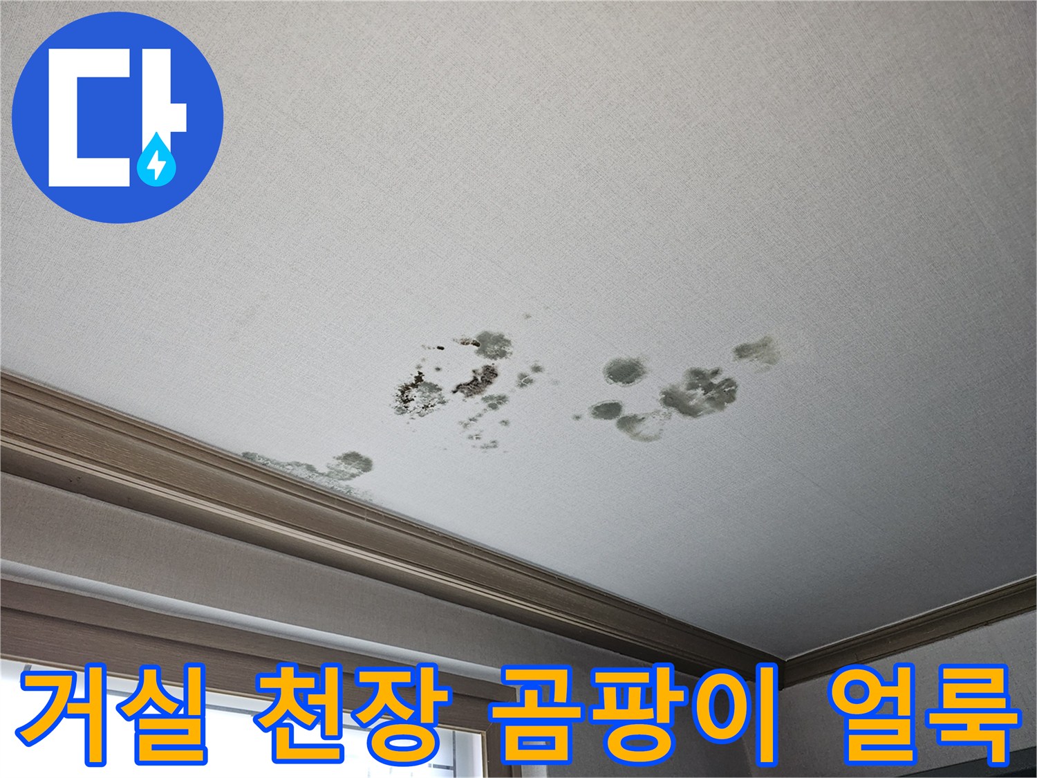 화성 동탄 거실 천장 벽지에 발생한 검은색 곰팡이와 물자국
