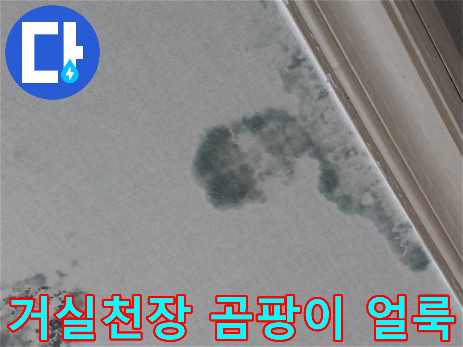 화성 동탄 상가주* 거실 천장 벽지에 발생한 검은색 곰팡이와 물자국 현상
