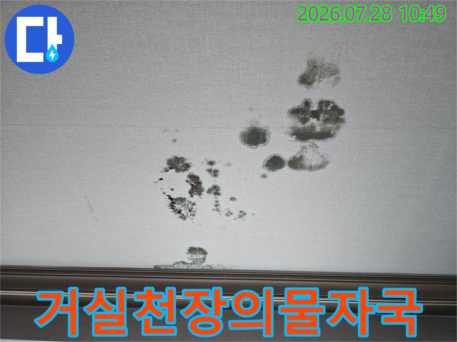 흰색 마감재에 선명하게 남은 누수 얼룩과 곰팡이들