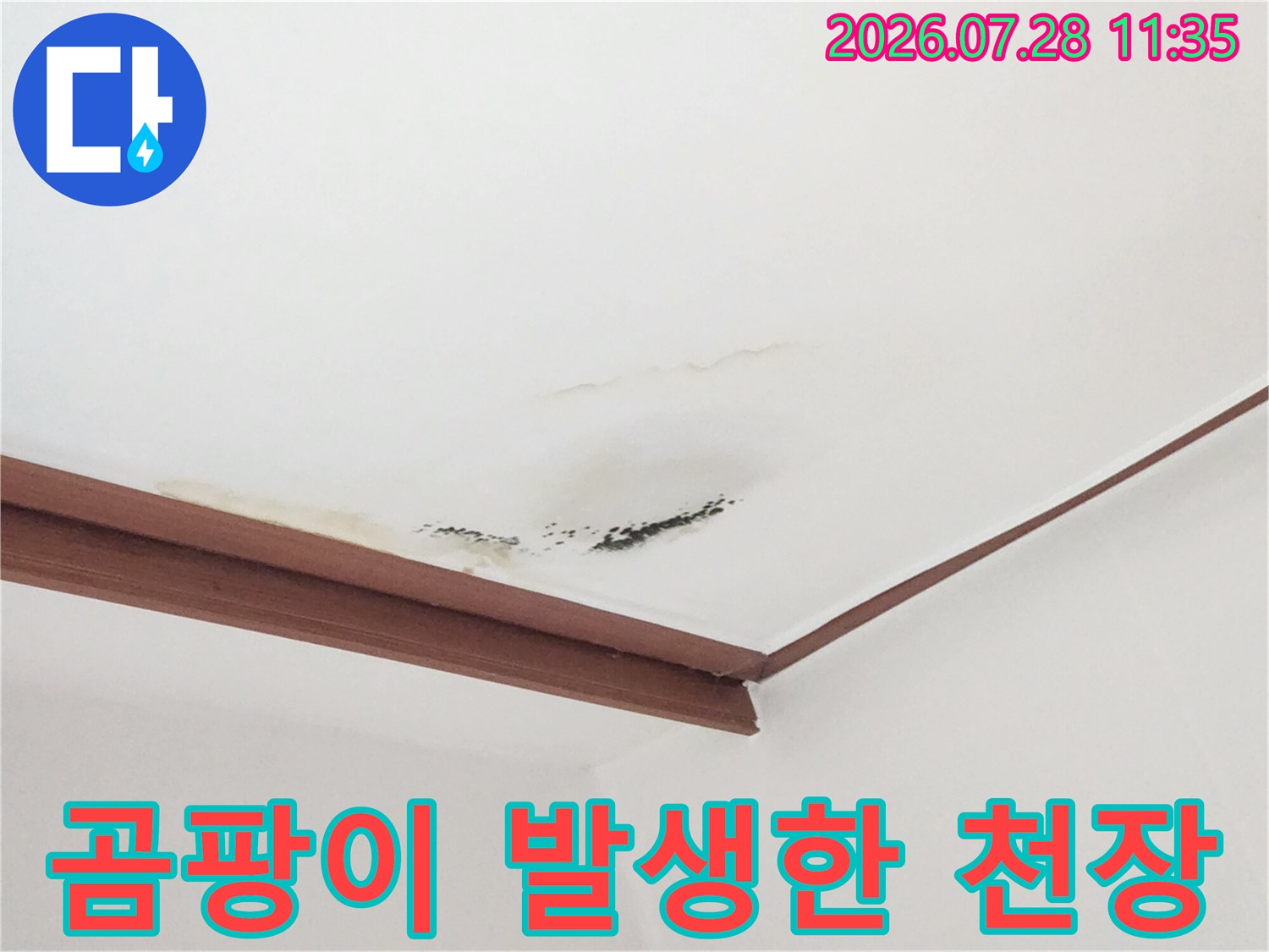 거실 천장 모서리 쪽으로 번진 곰팡이와 누수 자국