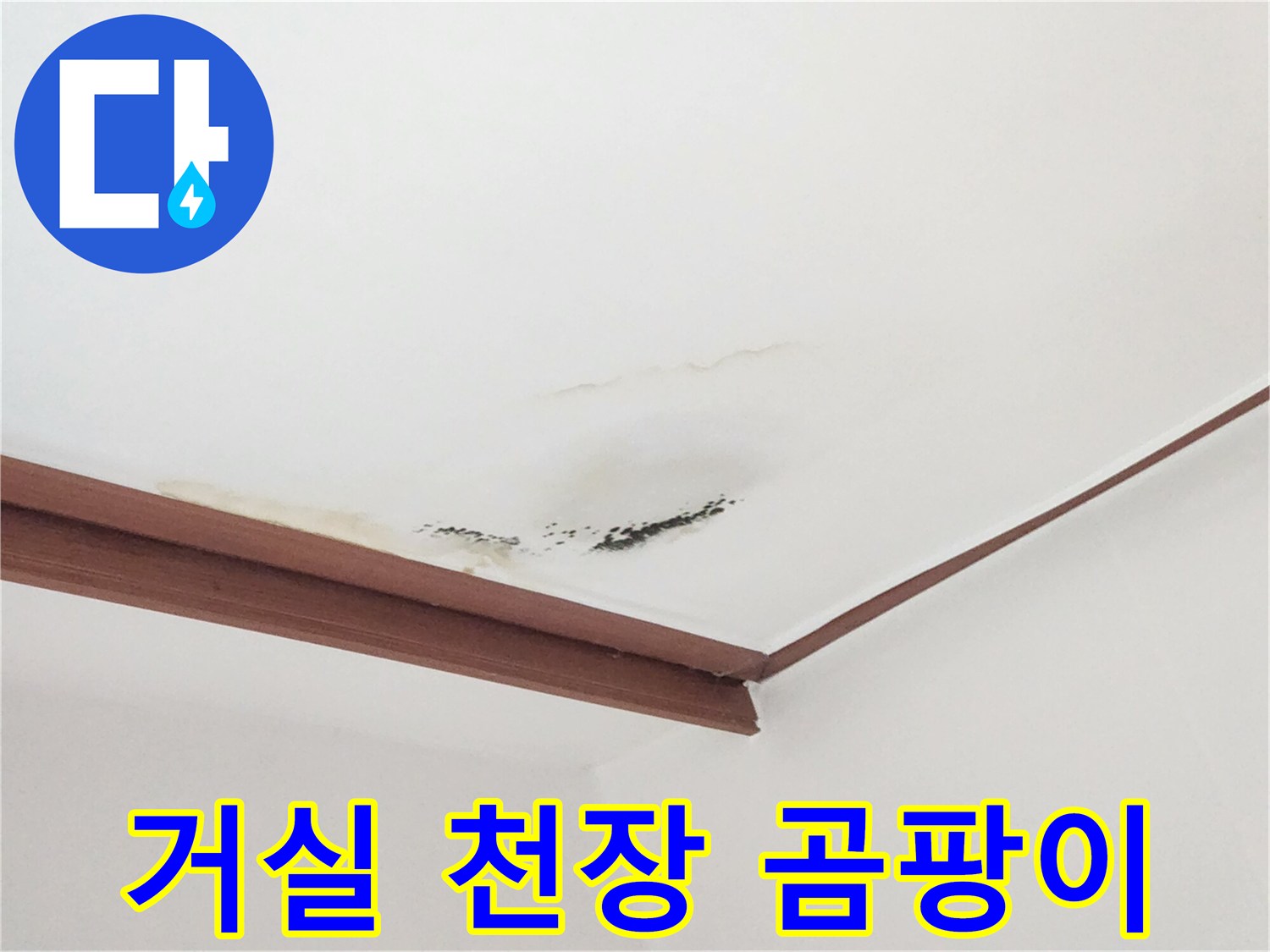 벽면 천장 접합부의 누수 얼룩과 곰팡이 현상