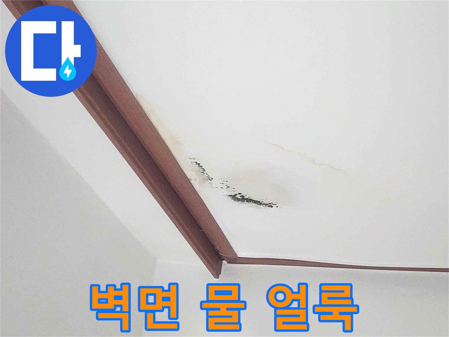 벽지 표면에 나타난 갈색 물 자국과 곰팡이