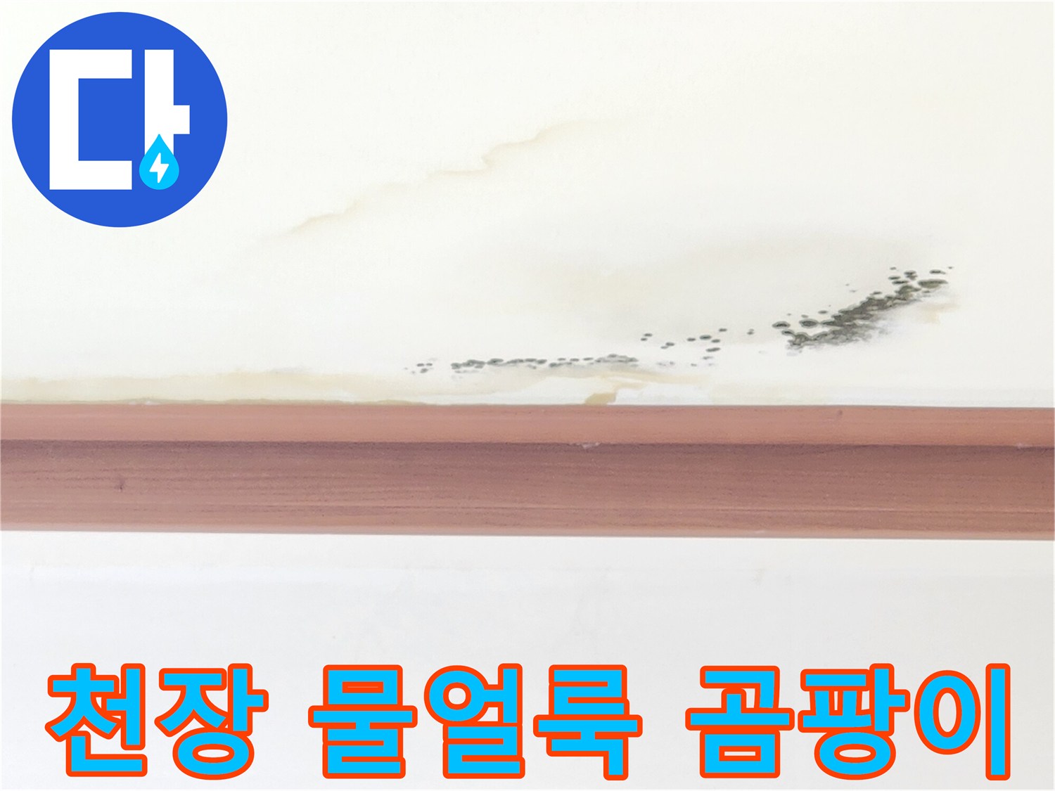 아랫집 거실 천장에 발생한 누런 물자국과 검은 곰팡이 상태