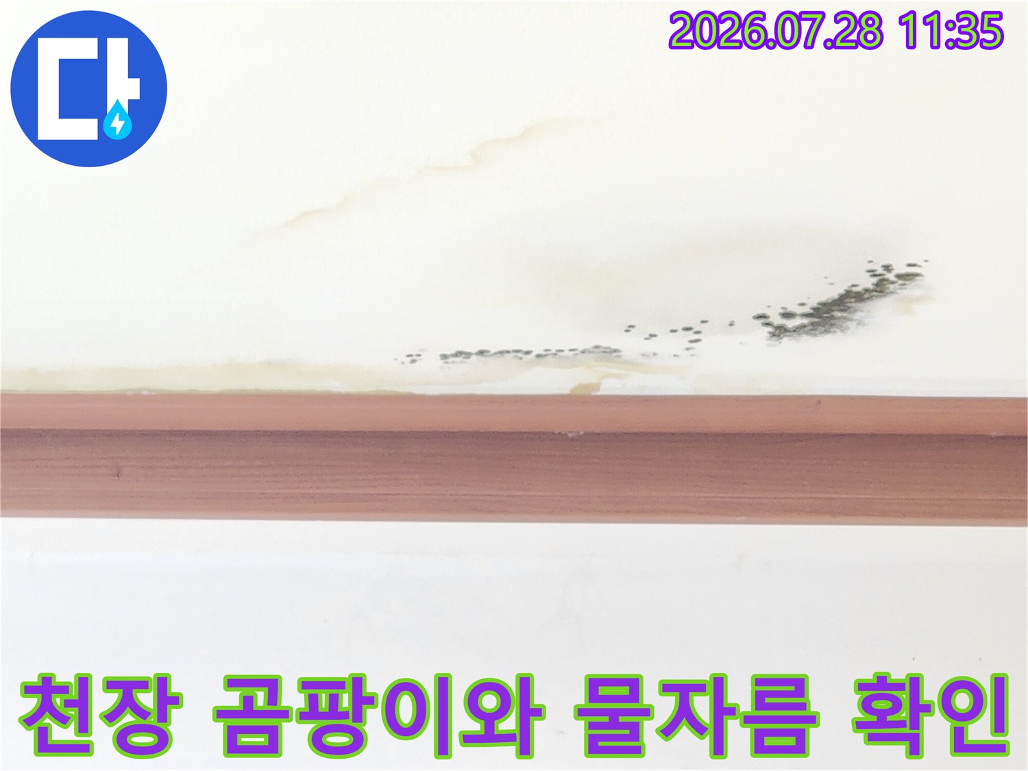 어두운색의 곰팡이 얼룩과 밝은 색상의 누수 흔적이 겹친 천장면