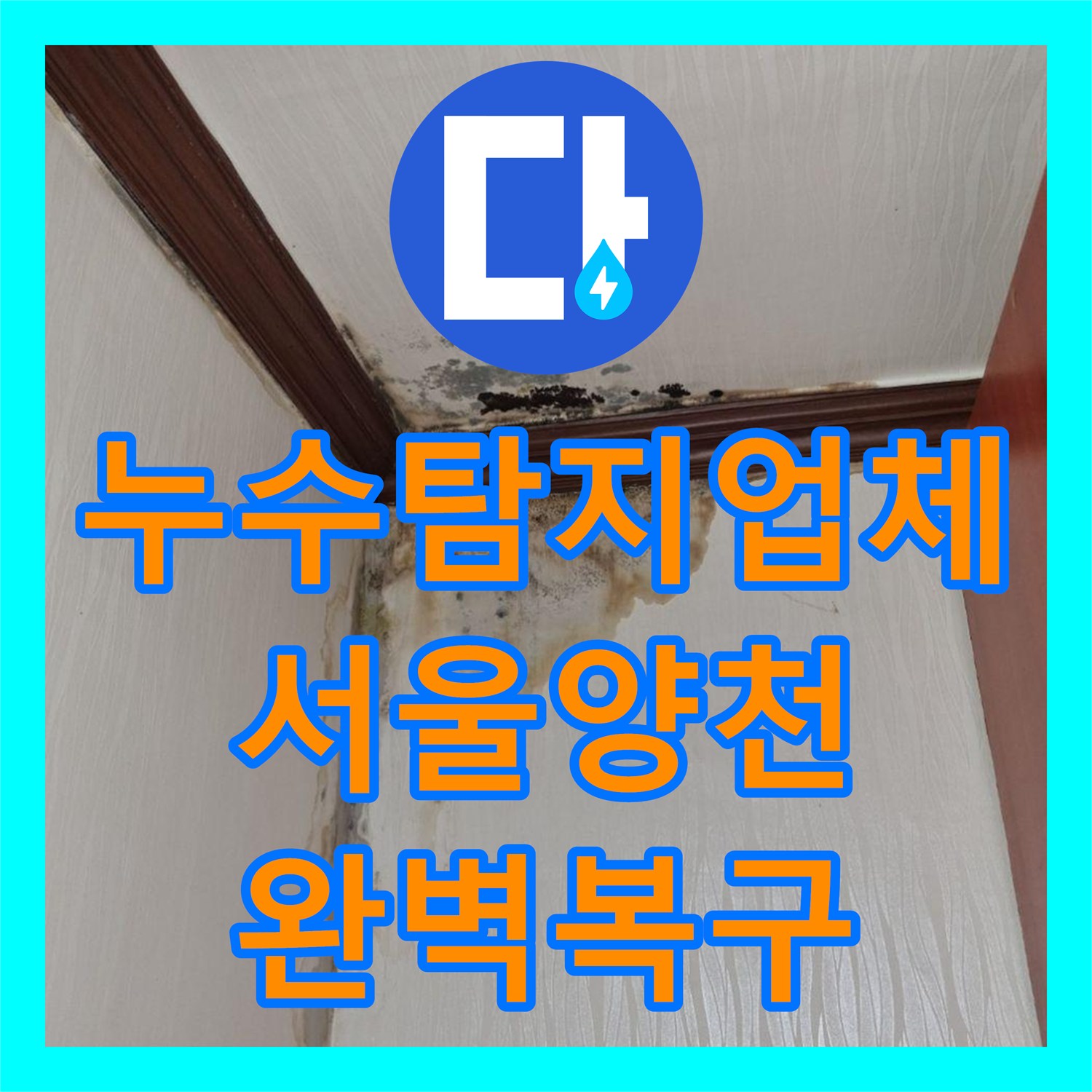 누수탐지업체 천장 몰딩 주변 물자국과 곰팡이 근본 원인 해결 서울 양천구 신월동