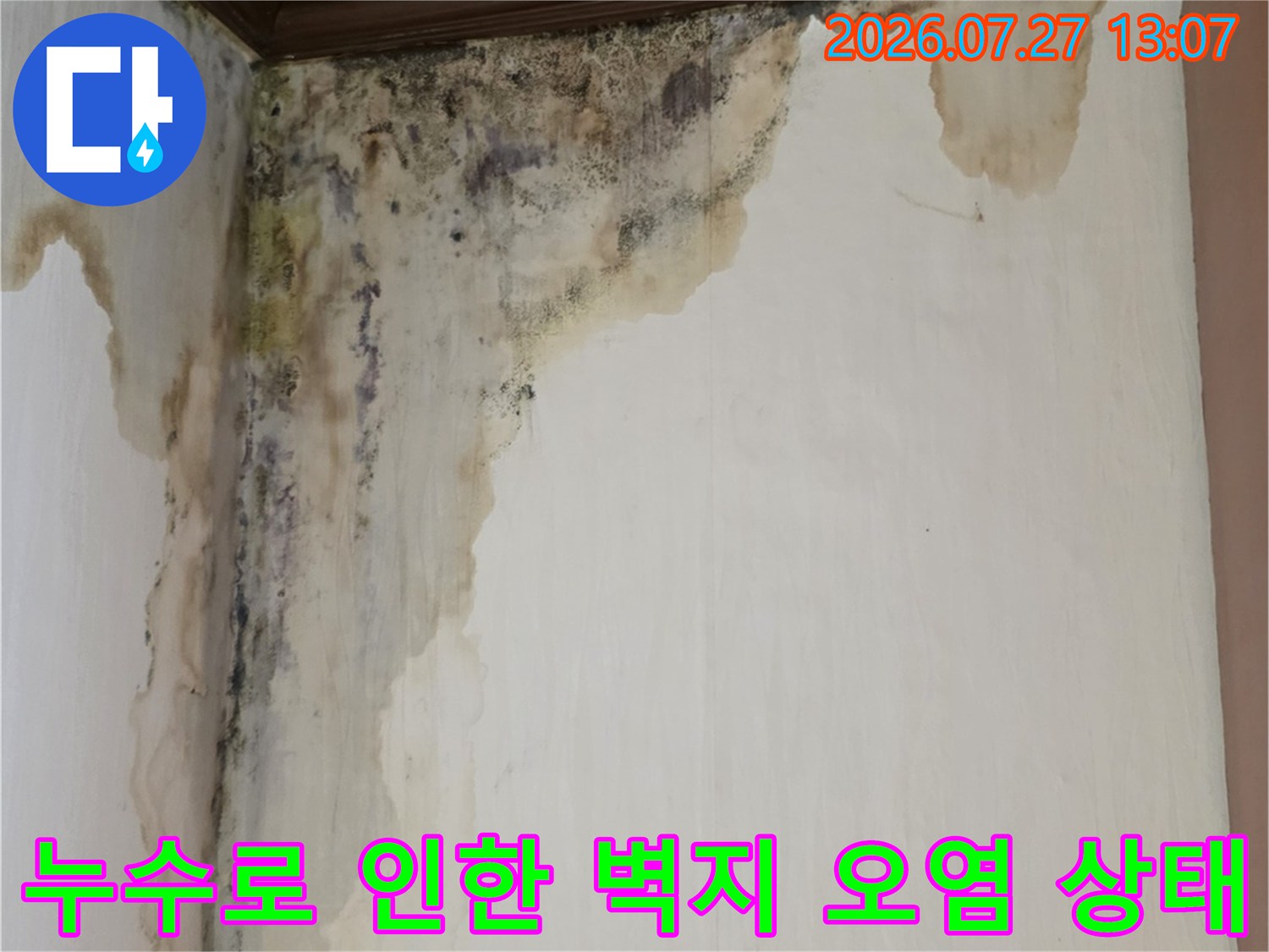 벽면 하단까지 누런 물자국과 검은 곰팡이가 번져 있는 실내 벽체 사진