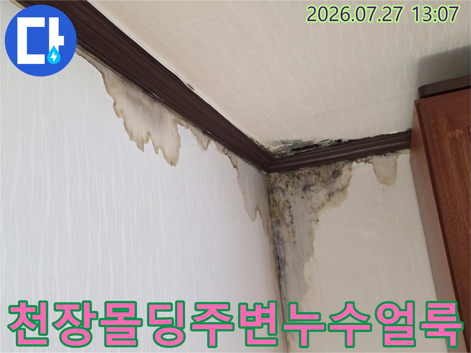 짙은 갈색 몰딩 하단으로 물이 스며나와 벽지가 젖고 곰팡이가 형성된 천장 모서리 모습