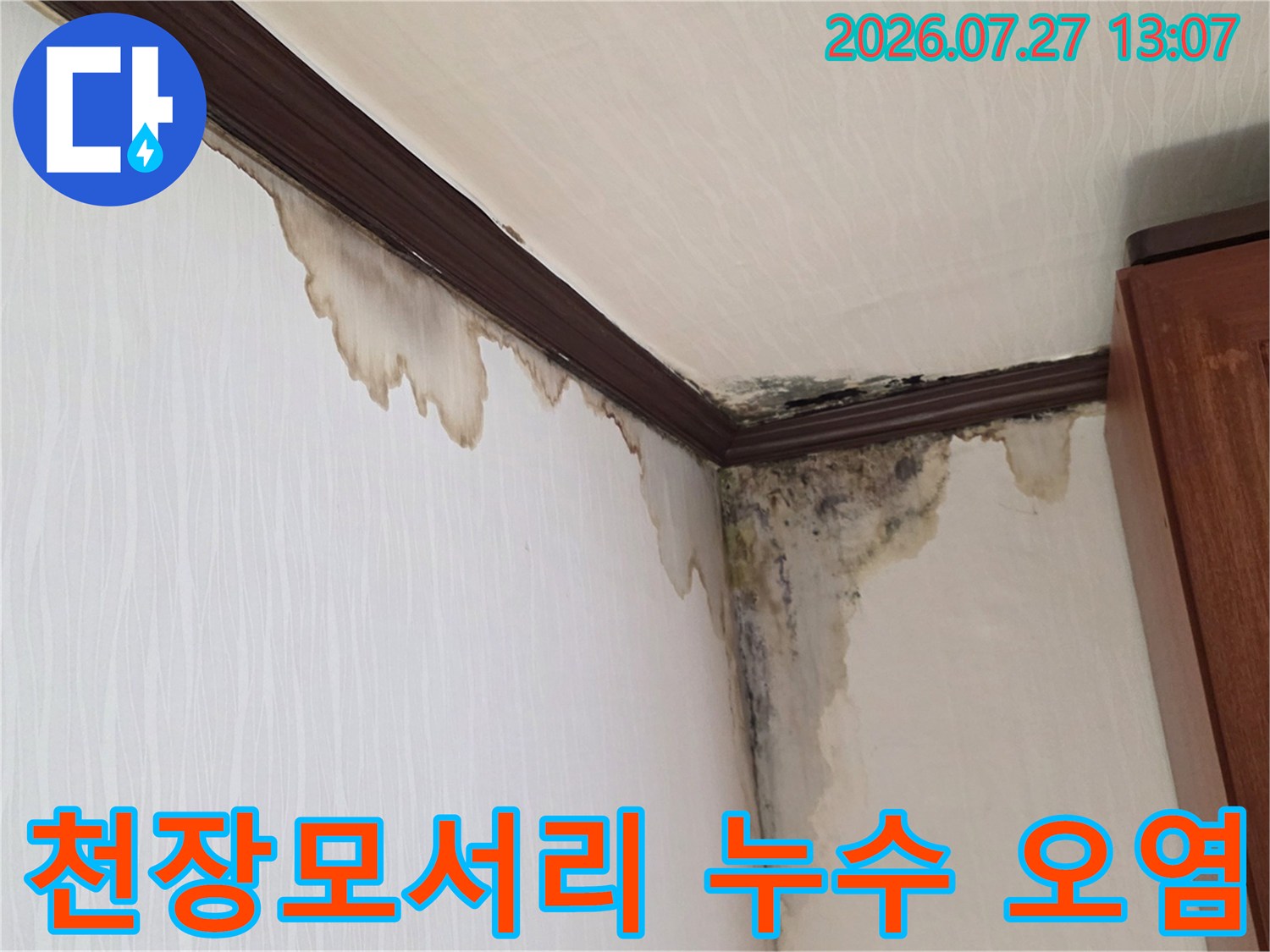 천장 몰딩과 벽지가 만나는 모서리 부위에 갈색 물자국과 검은 곰팡이가 퍼져 있는 모습