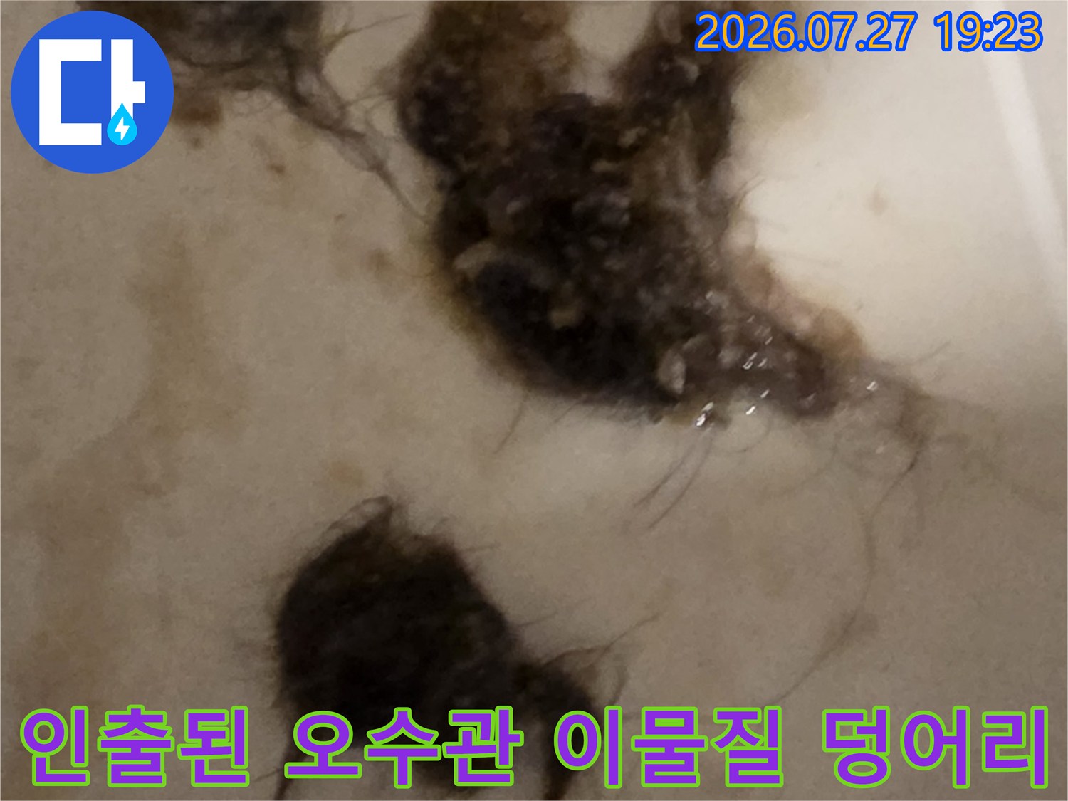 변기 역류의 주범이었던-엉킨 머리카락과 오염물이 섞인 이물질 뭉치 사진