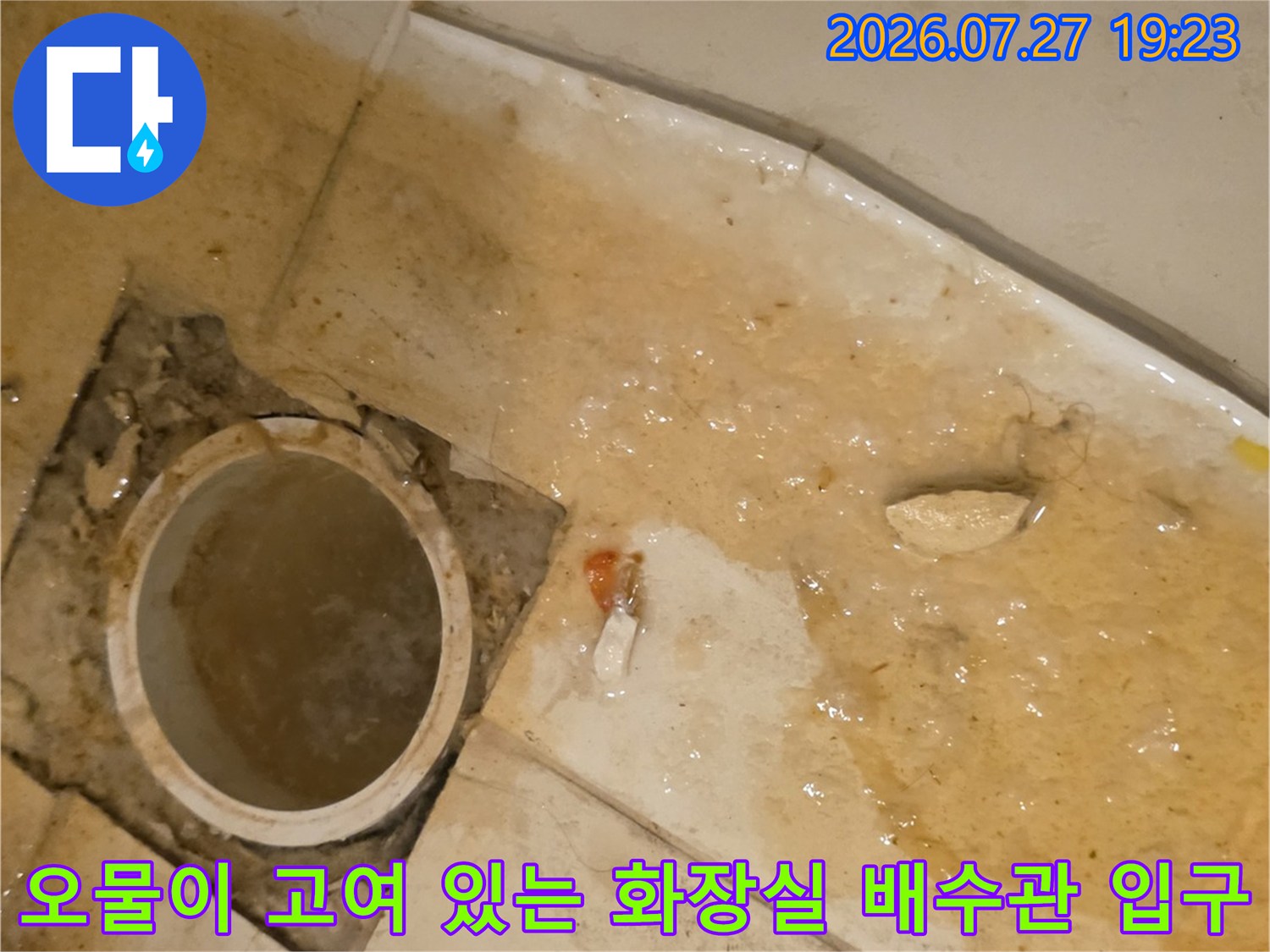 오수관 내부의 물이 빠지지 않아 주변으로 누런 액체가 고여 있는 현장 사진