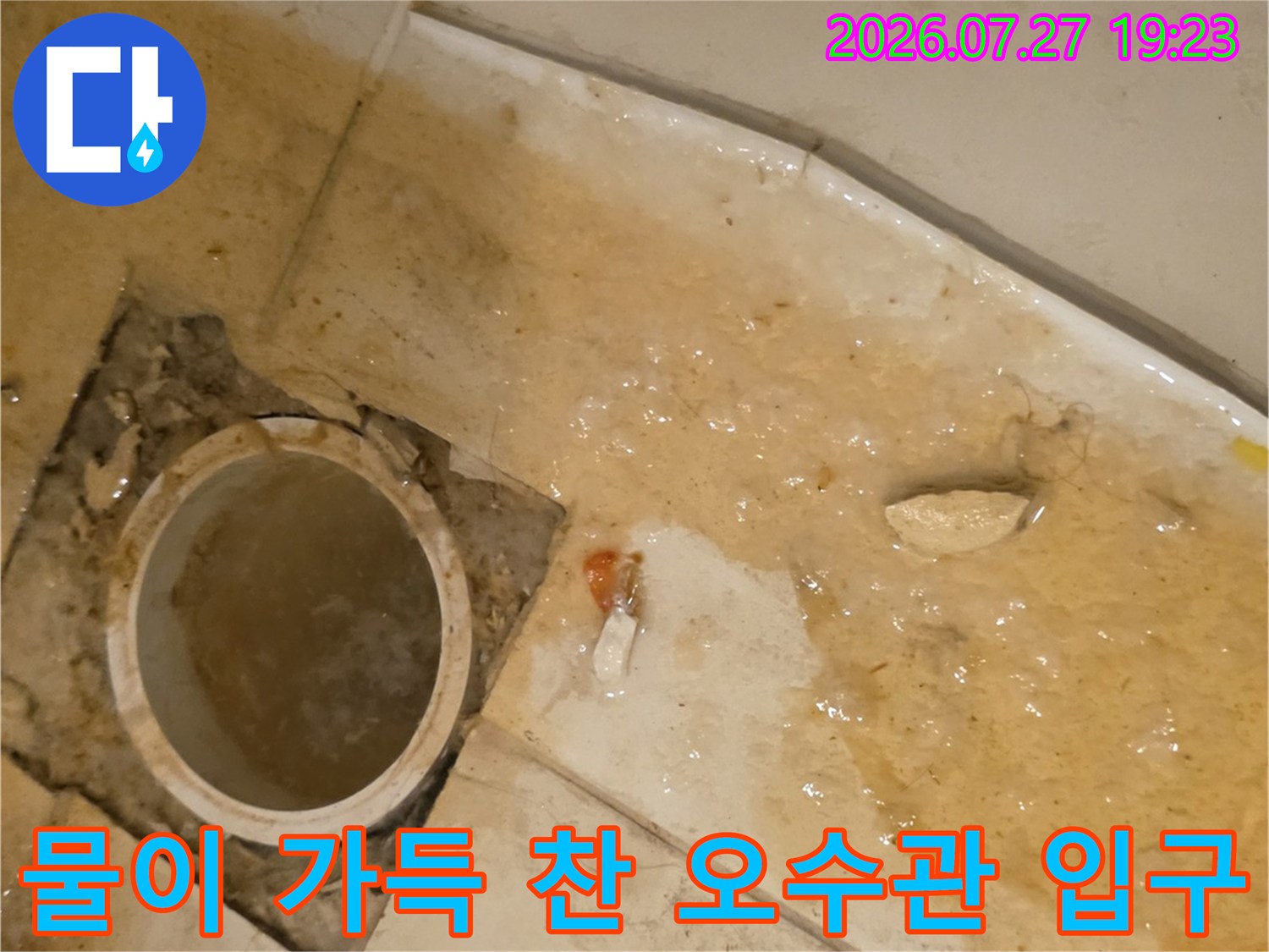 화장실 바닥의 오수관 입구에 오물이 섞인 물이 가득 차 있는 모습